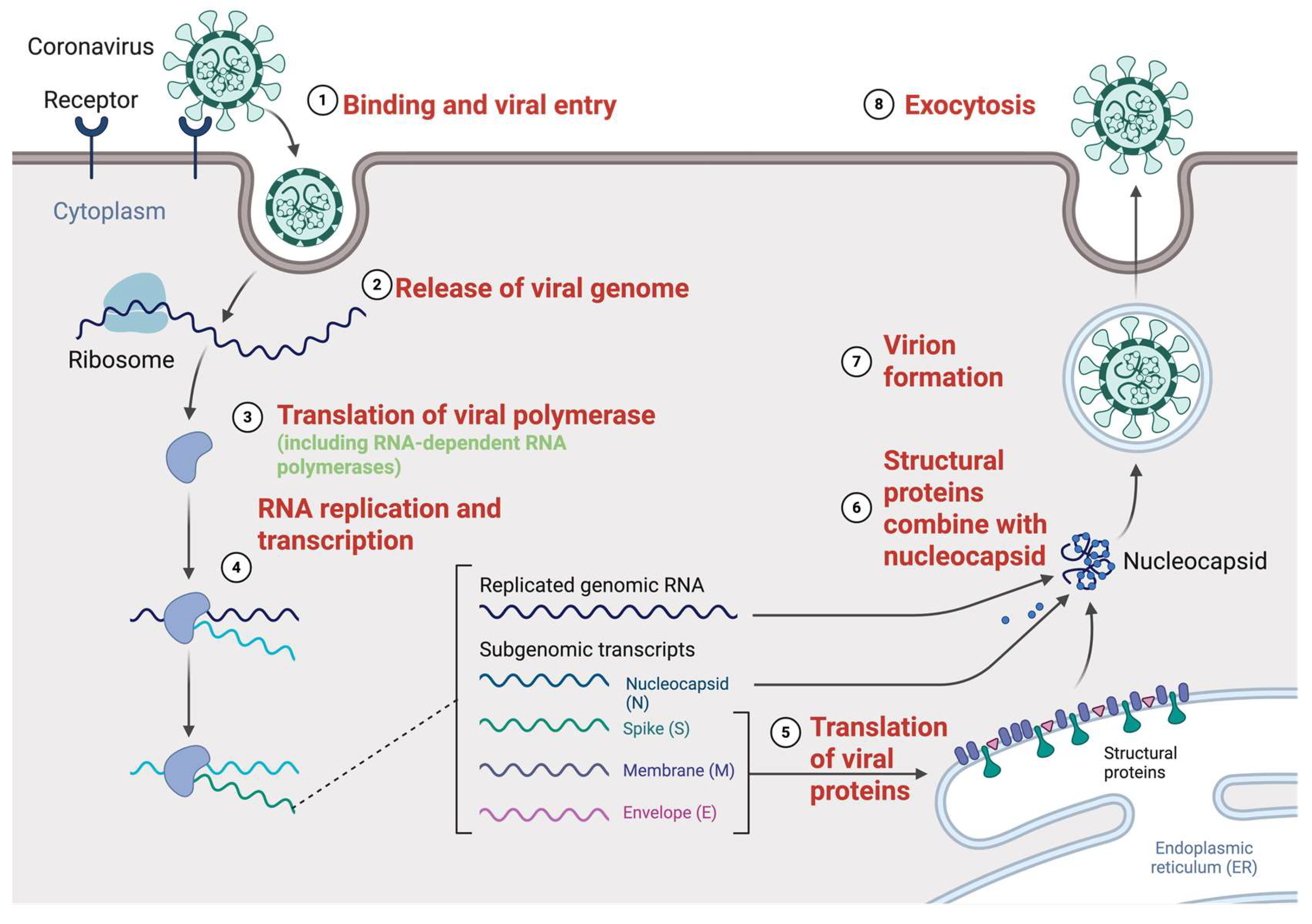 Preprints 157065 g001