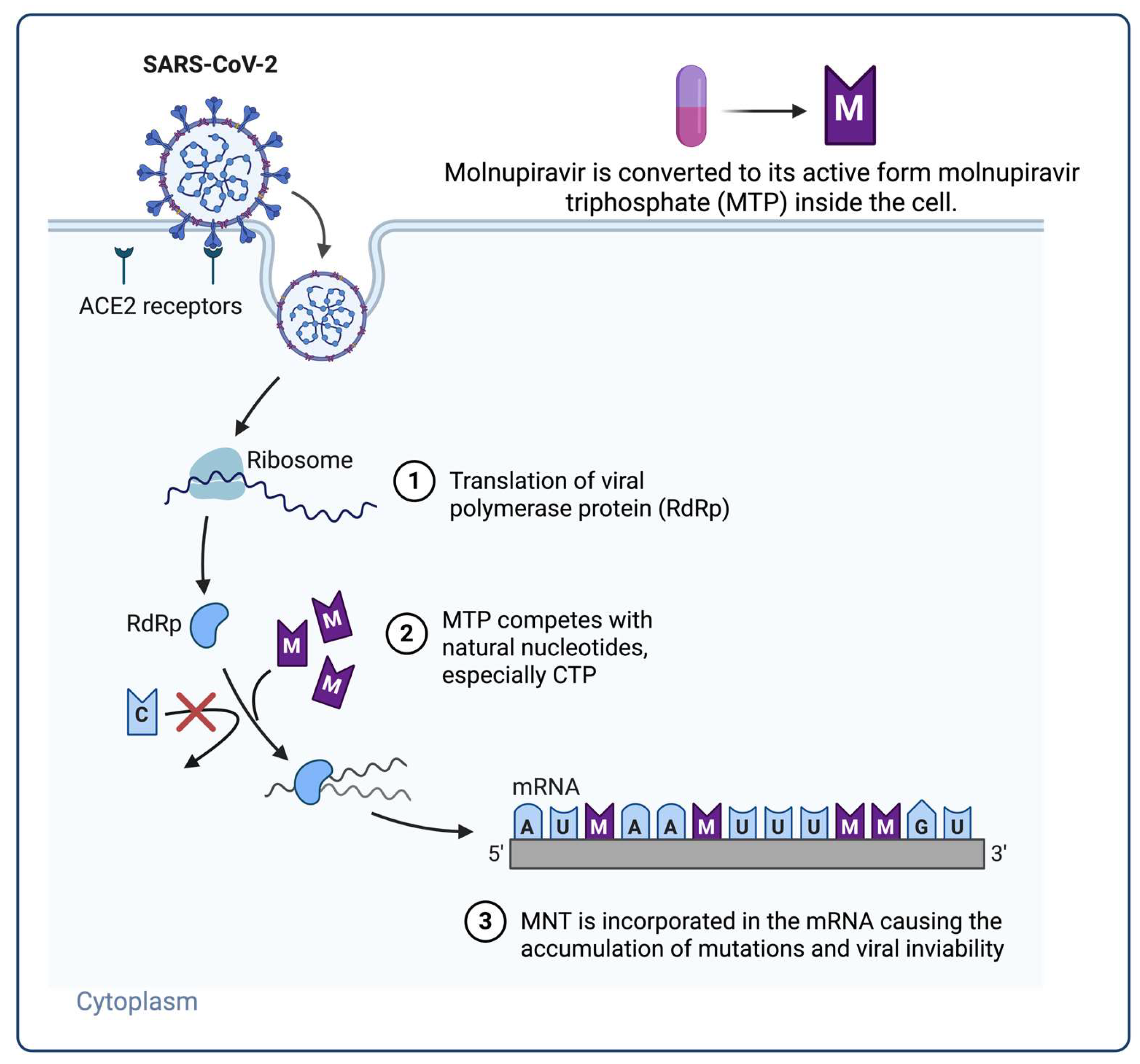 Preprints 157065 g004