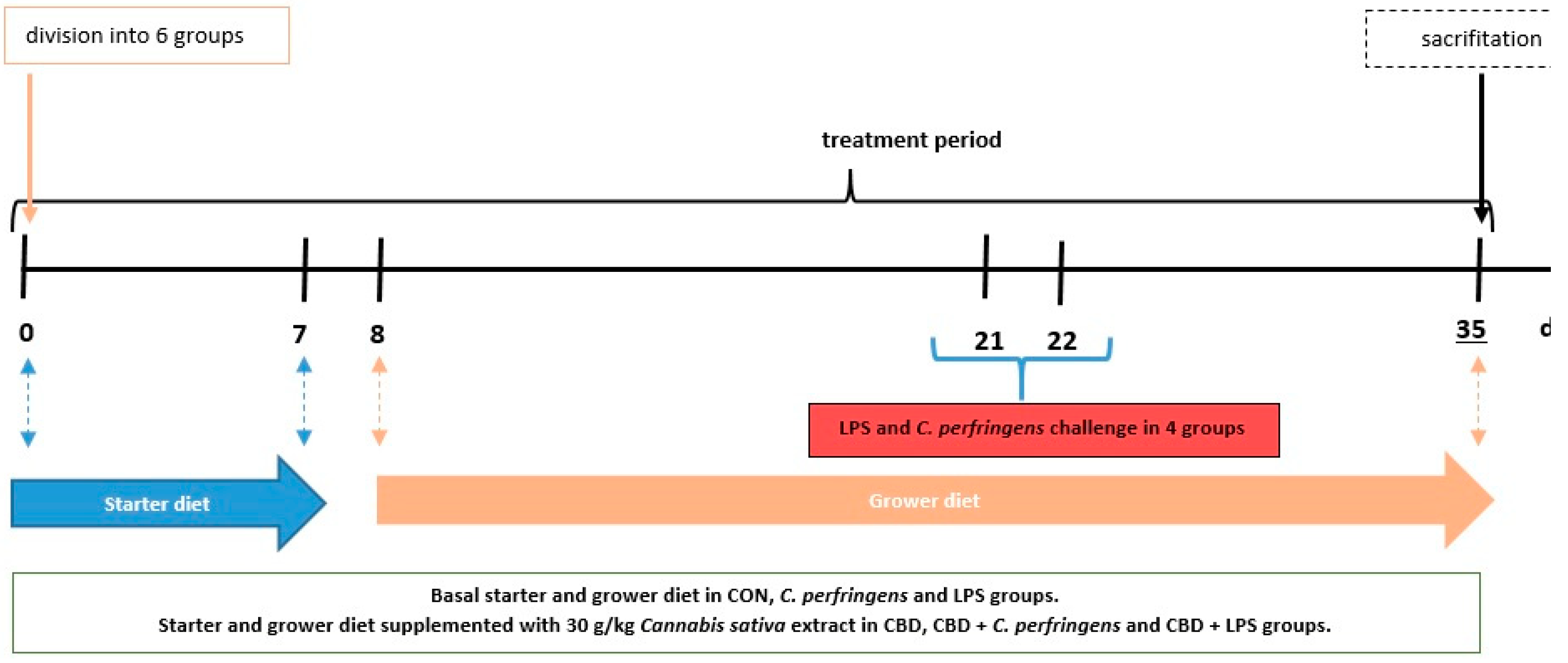 Preprints 119163 g008