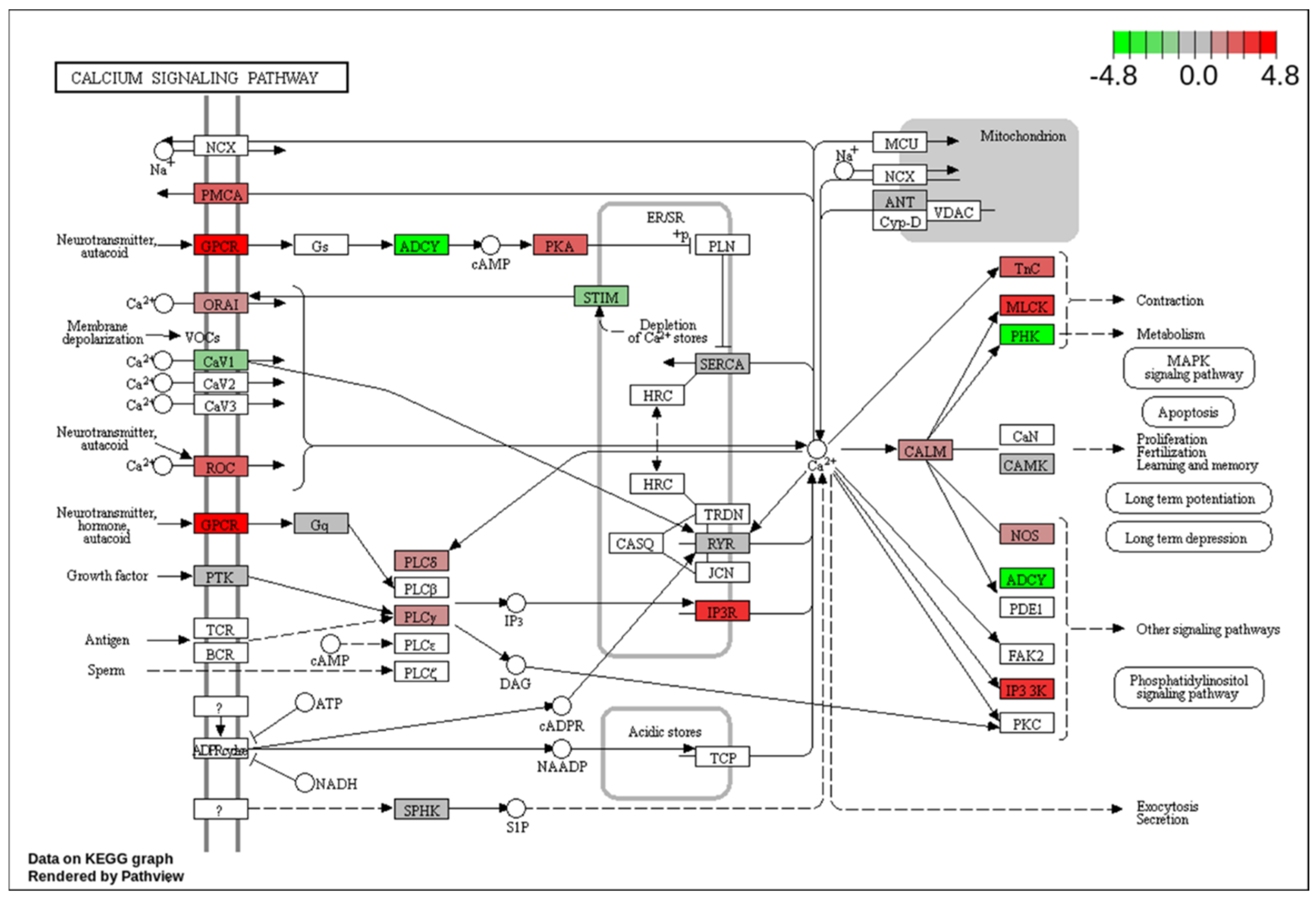 Preprints 160490 g004
