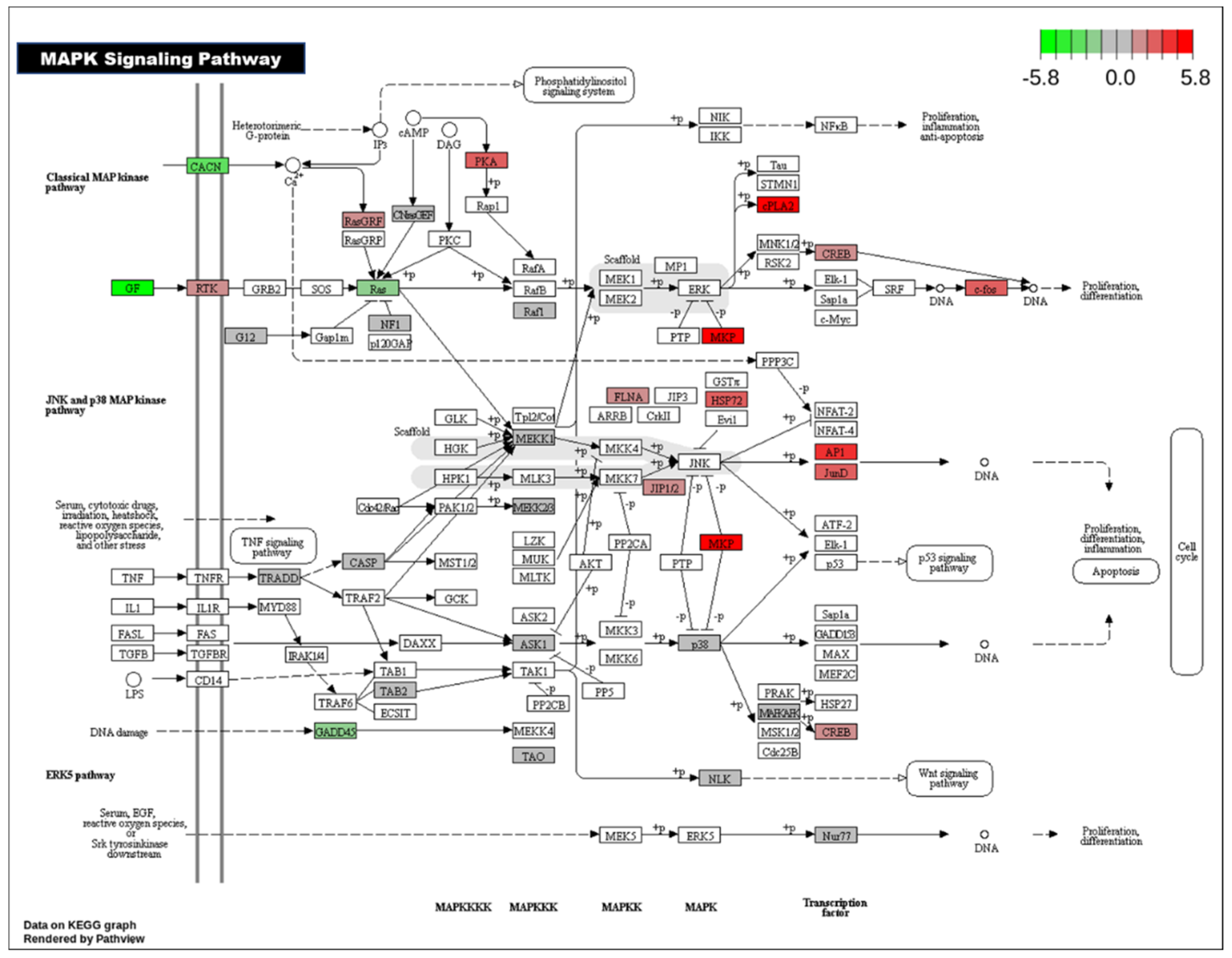 Preprints 160490 g005