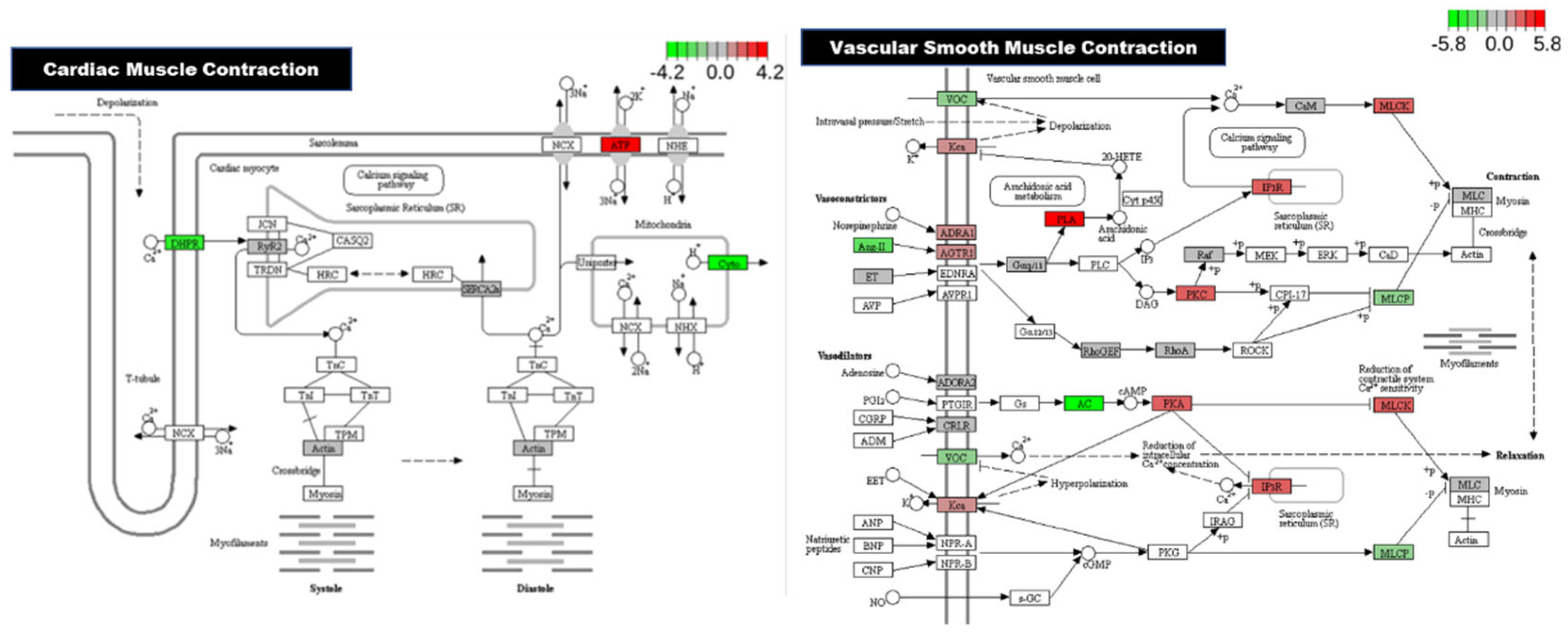 Preprints 160490 g006