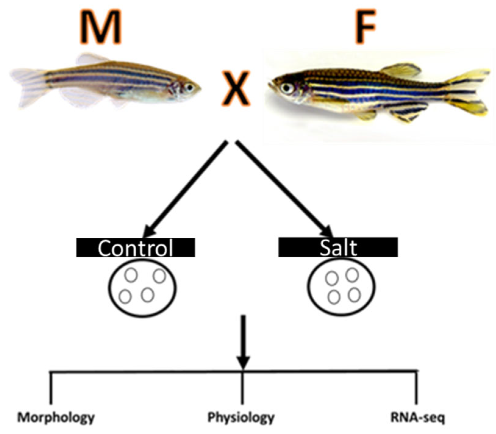 Preprints 160490 g007