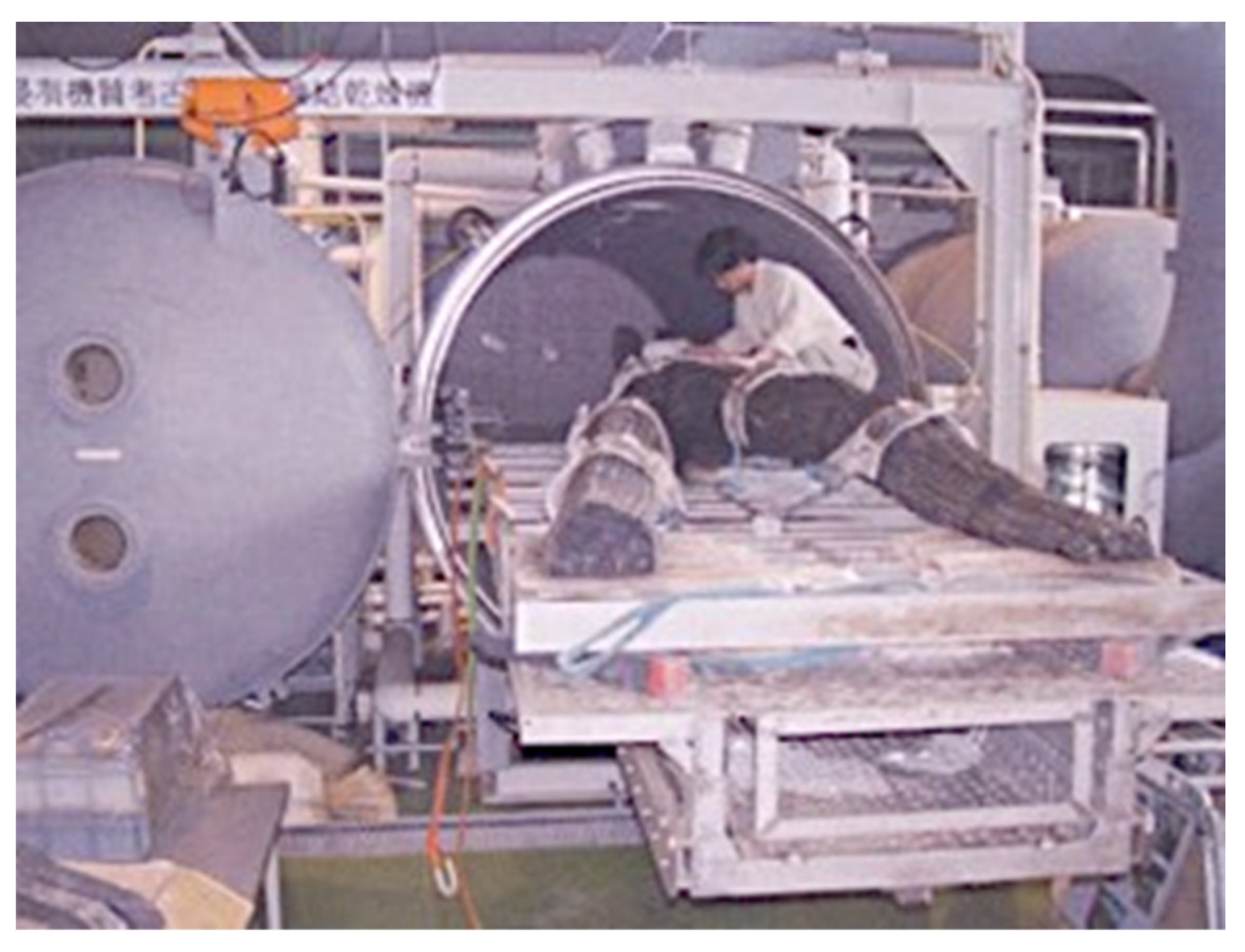 Preprints 88380 g022