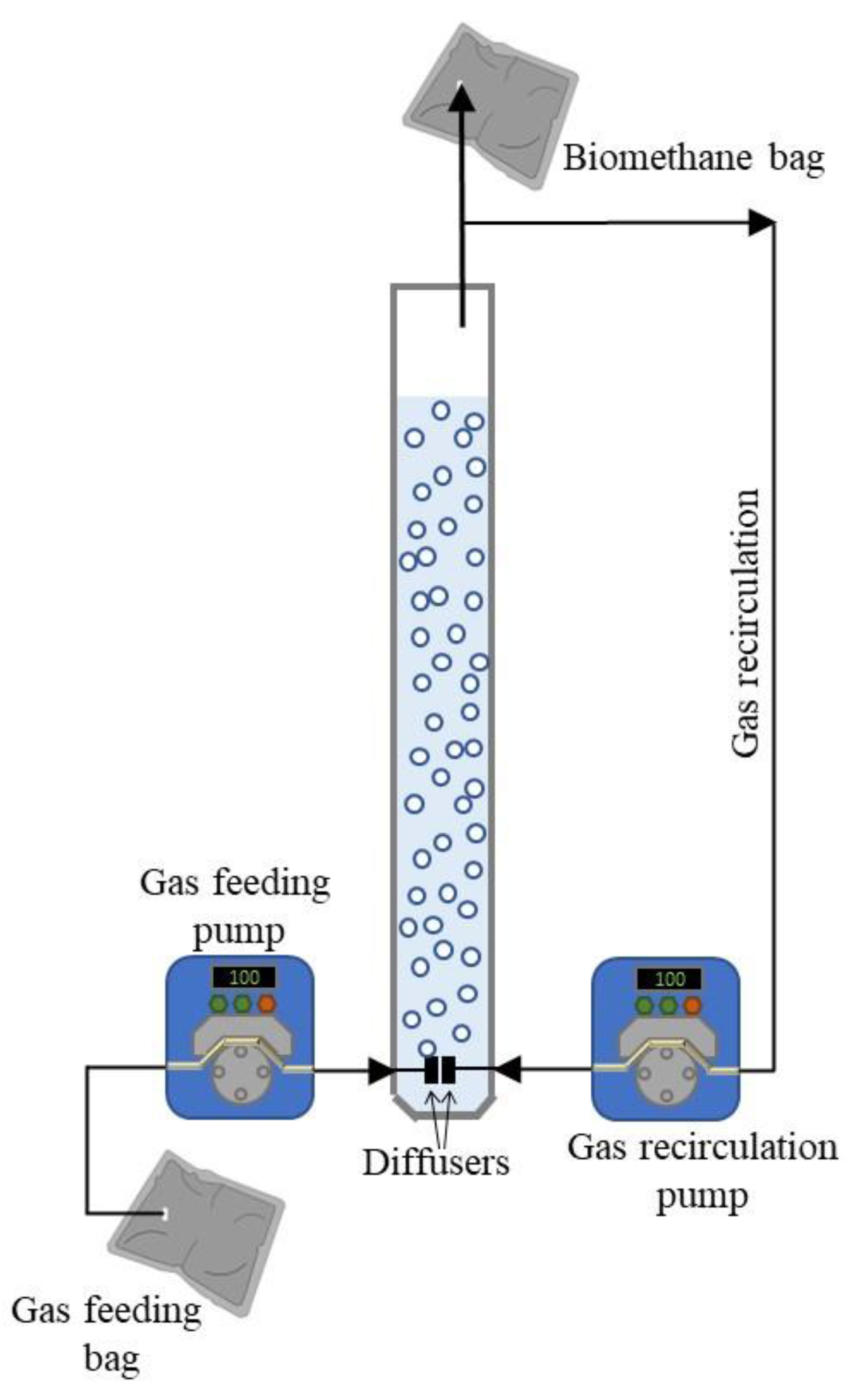 Preprints 199611 g001