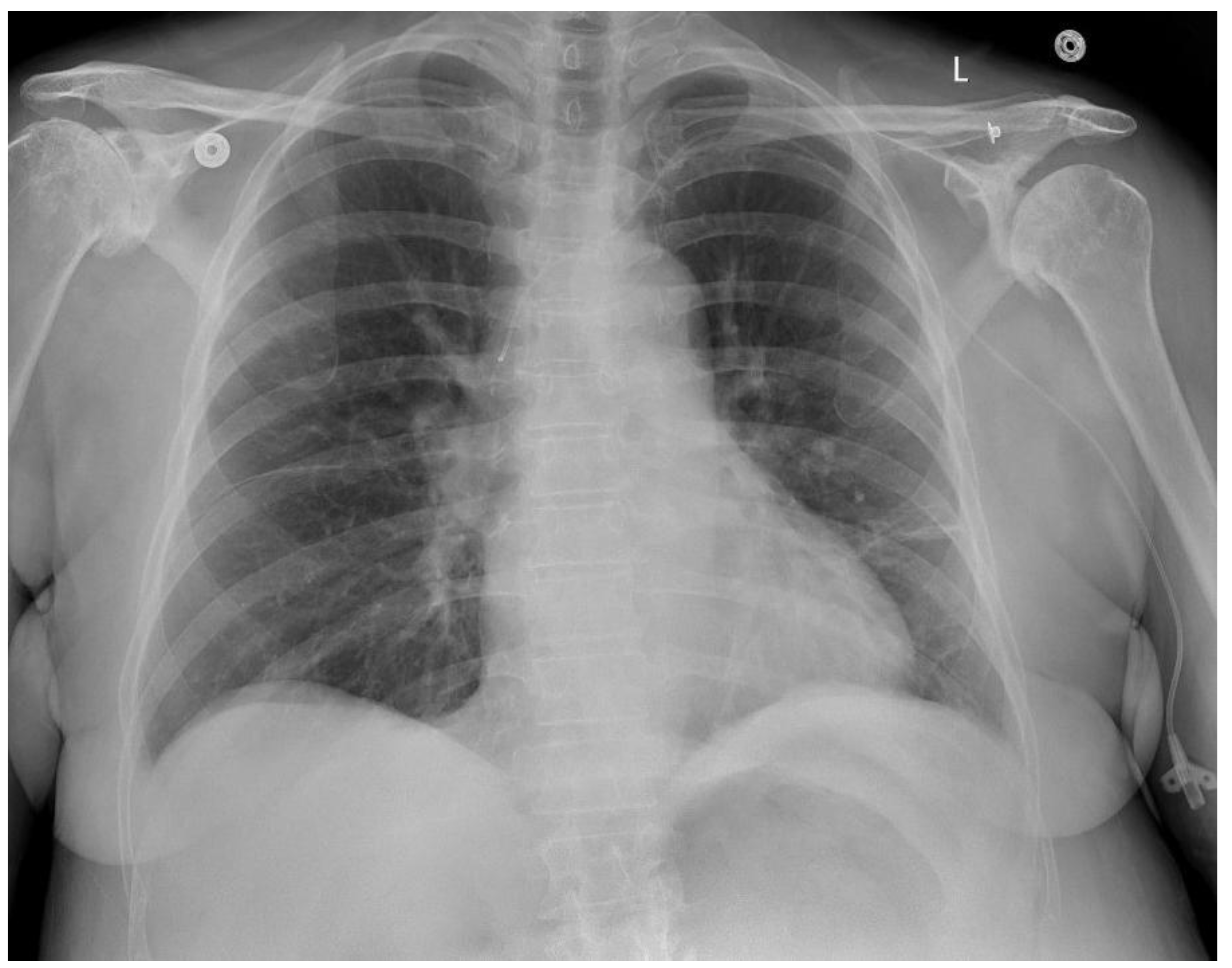 Preprints 162860 g001