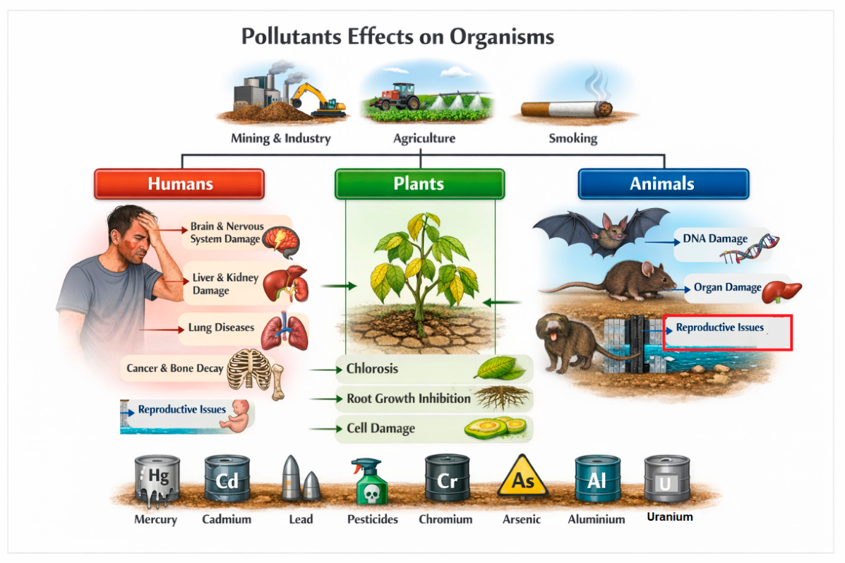 Integrated Bioremediation Approaches for Air, Soil, and Water Pollution ...