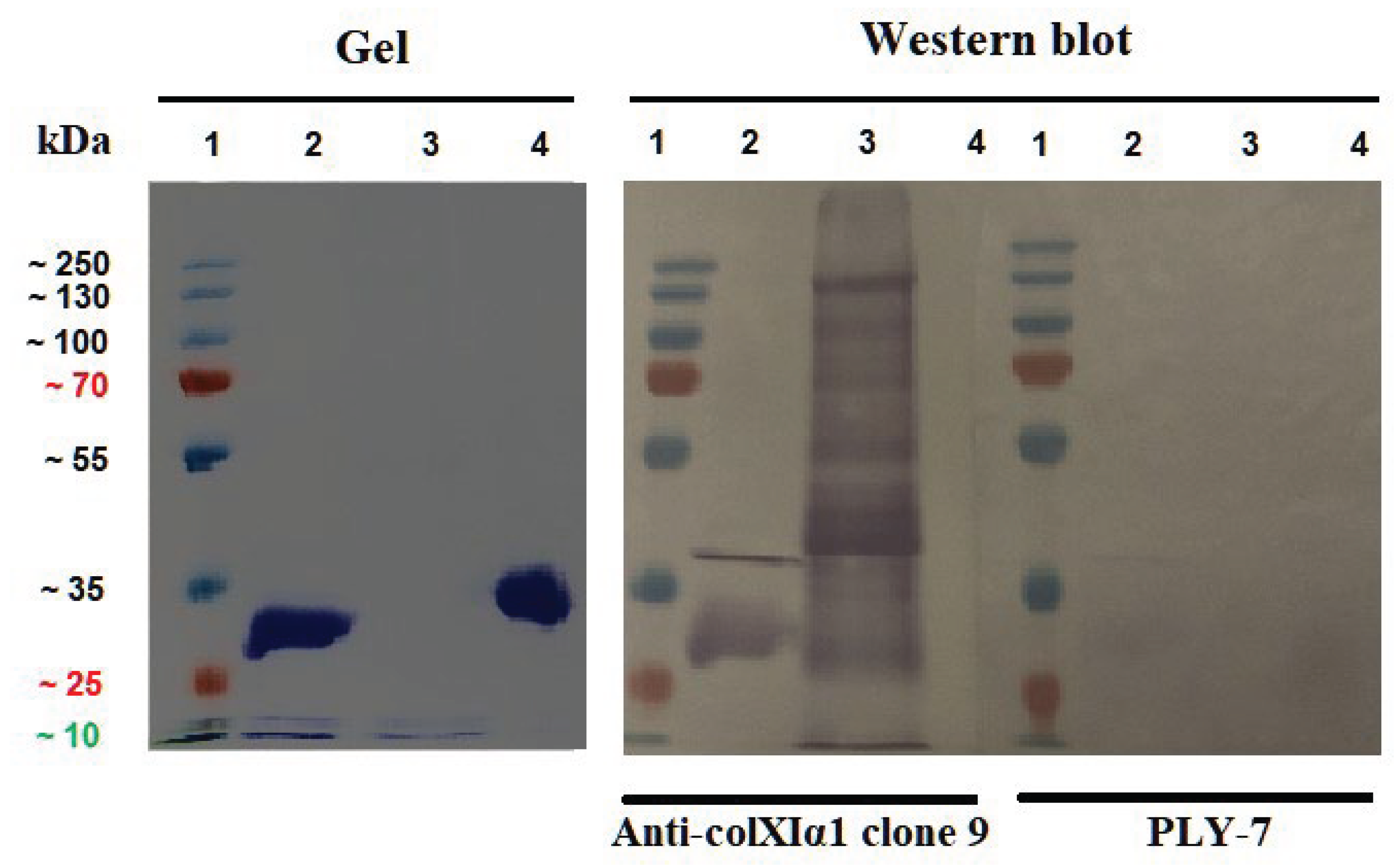 Preprints 195554 g005