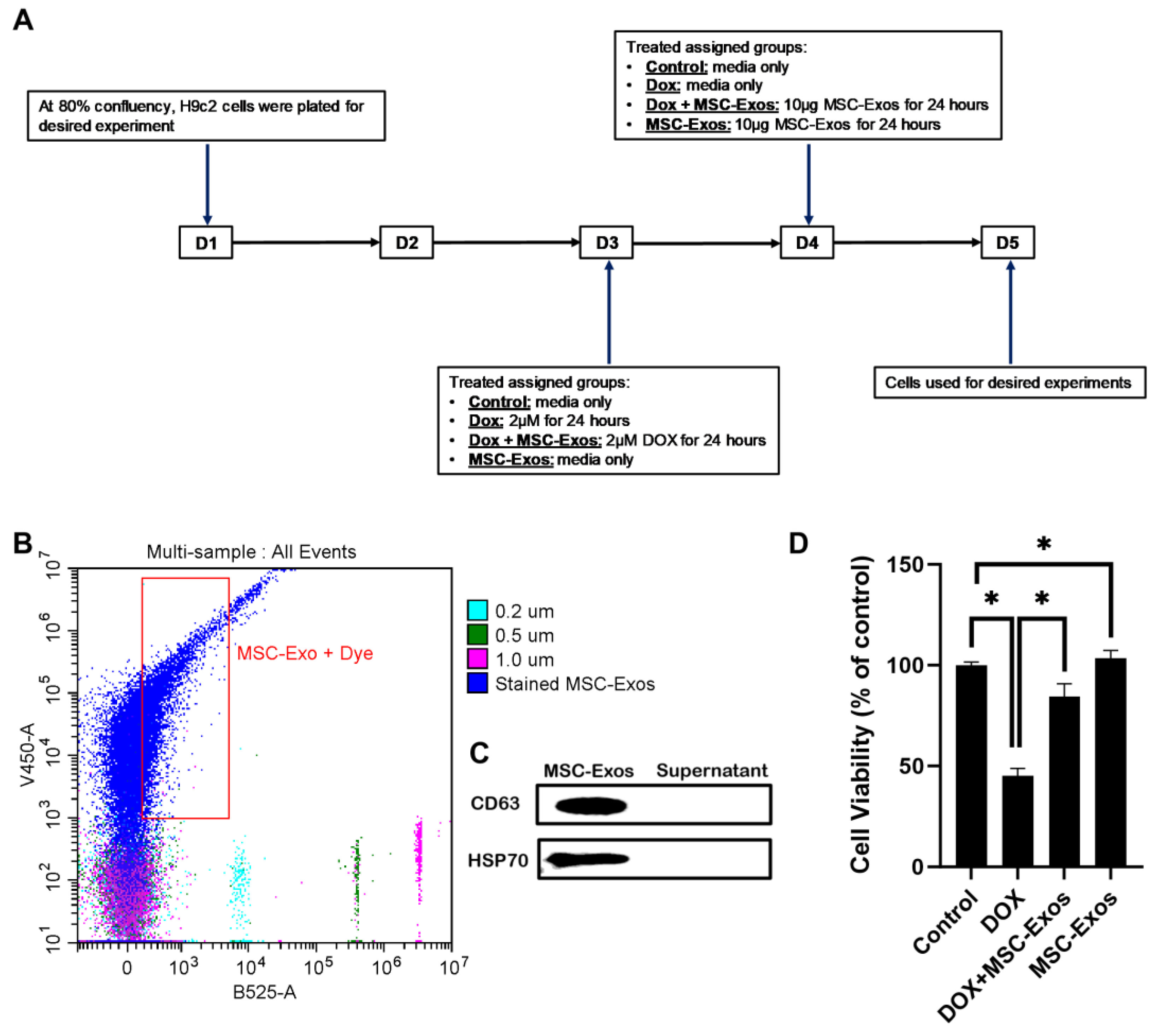 Preprints 93251 g001