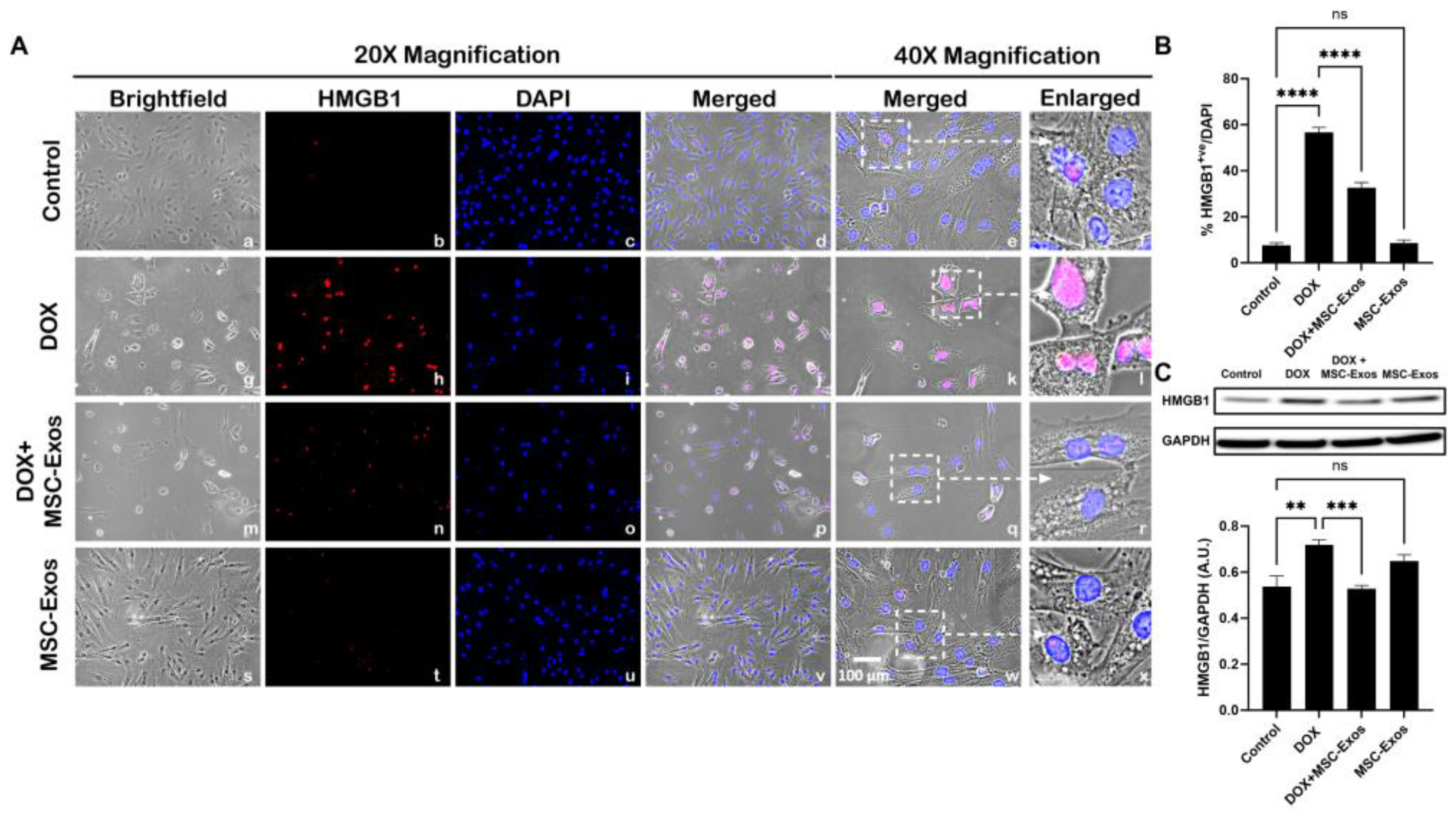 Preprints 93251 g002