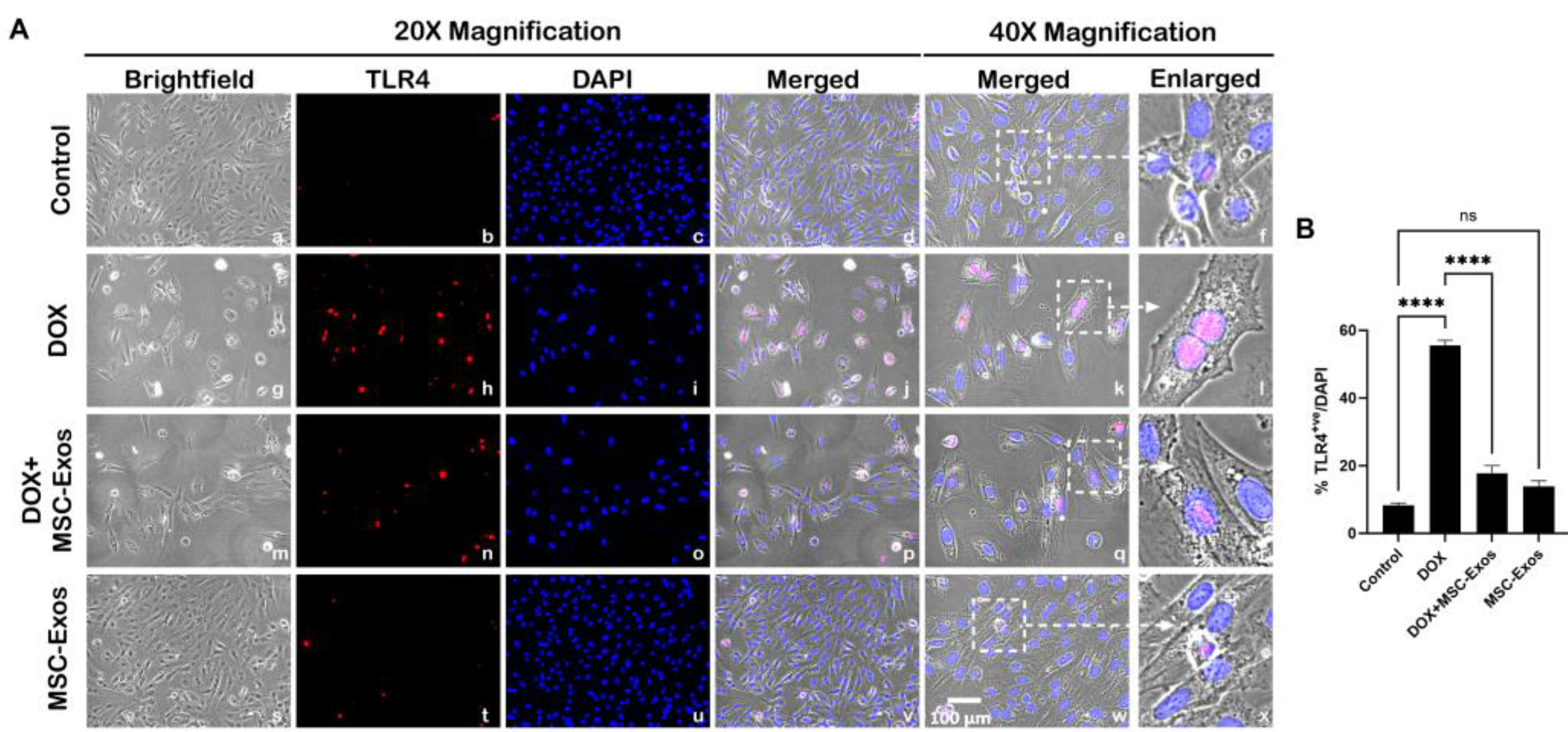 Preprints 93251 g003