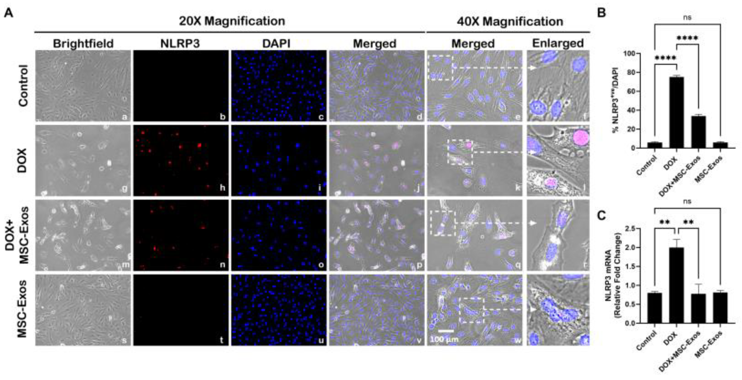 Preprints 93251 g004