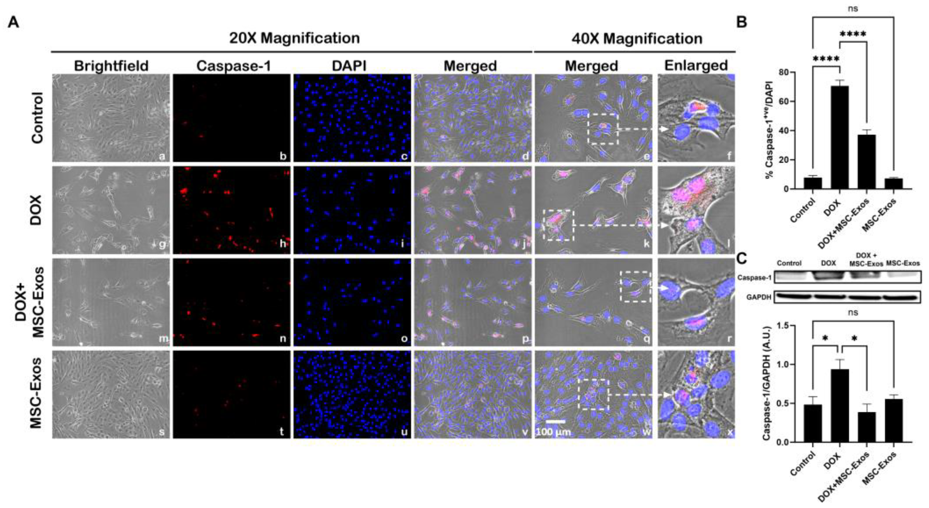 Preprints 93251 g005