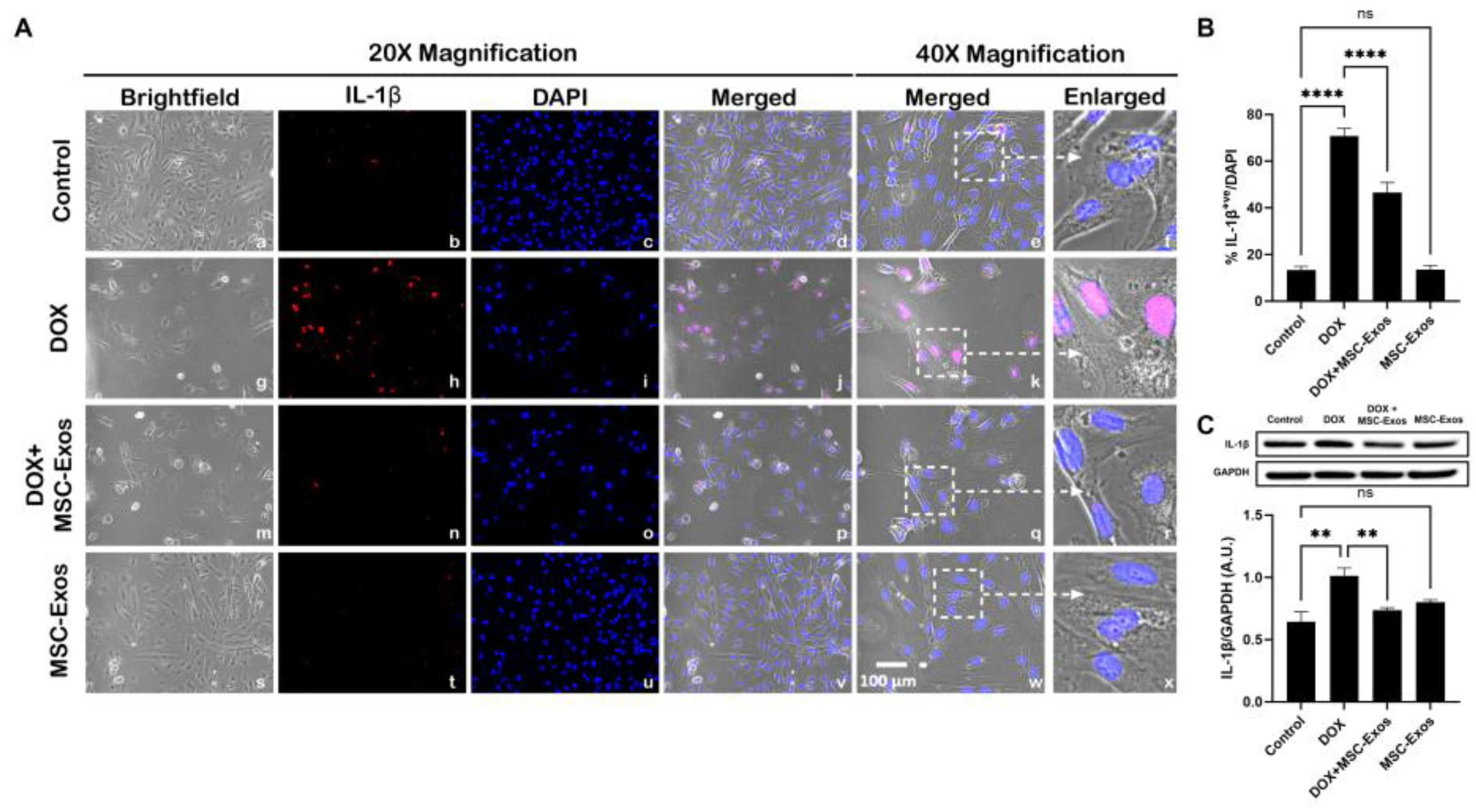Preprints 93251 g006