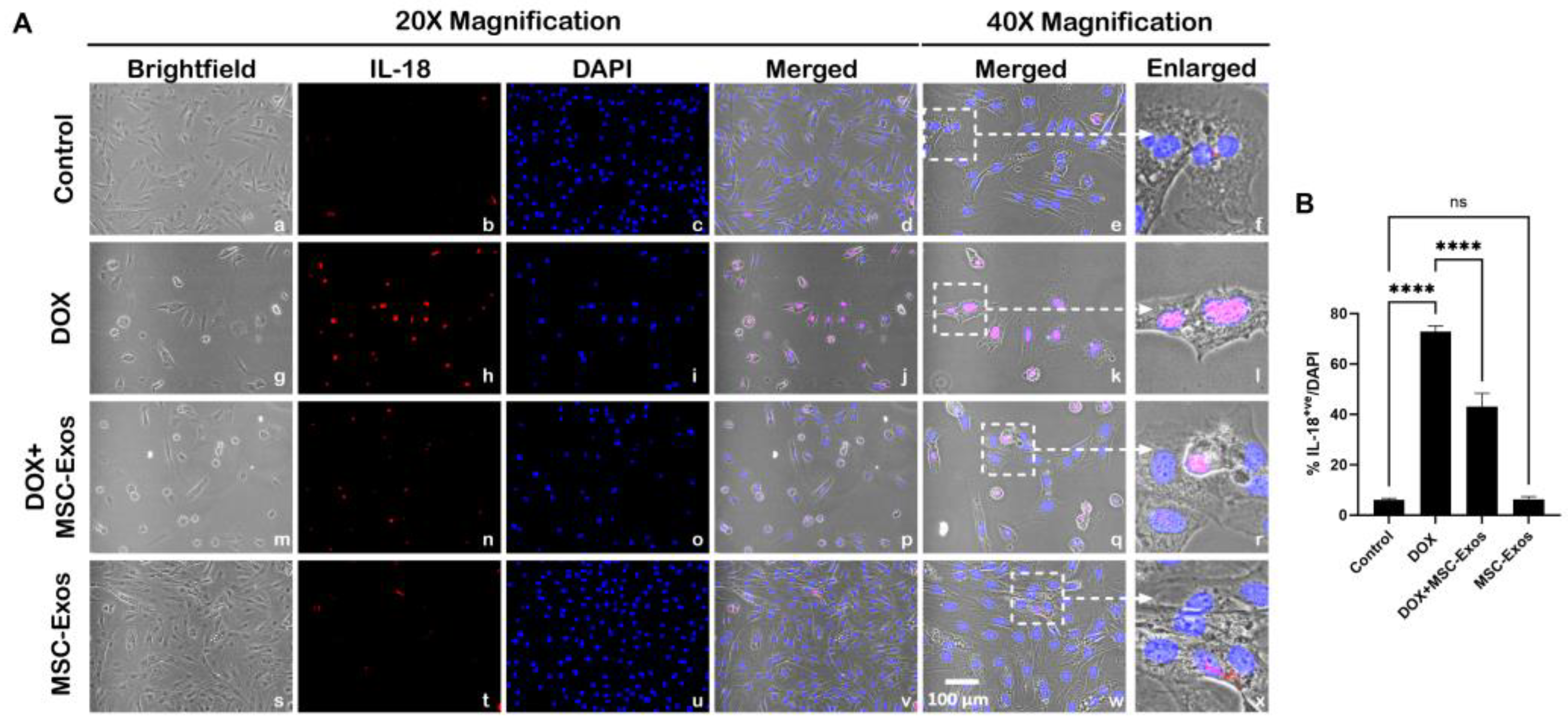 Preprints 93251 g007