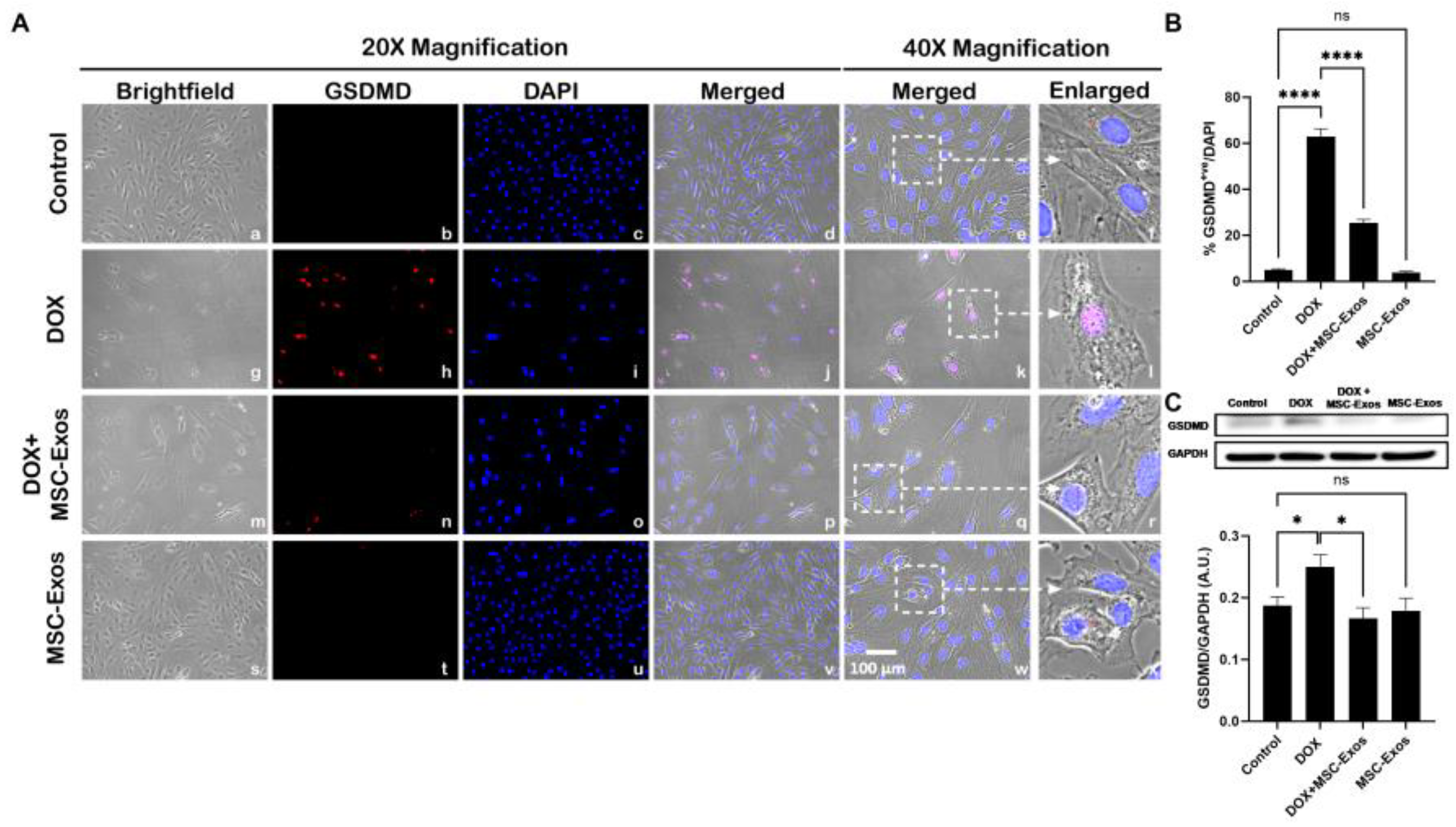 Preprints 93251 g008