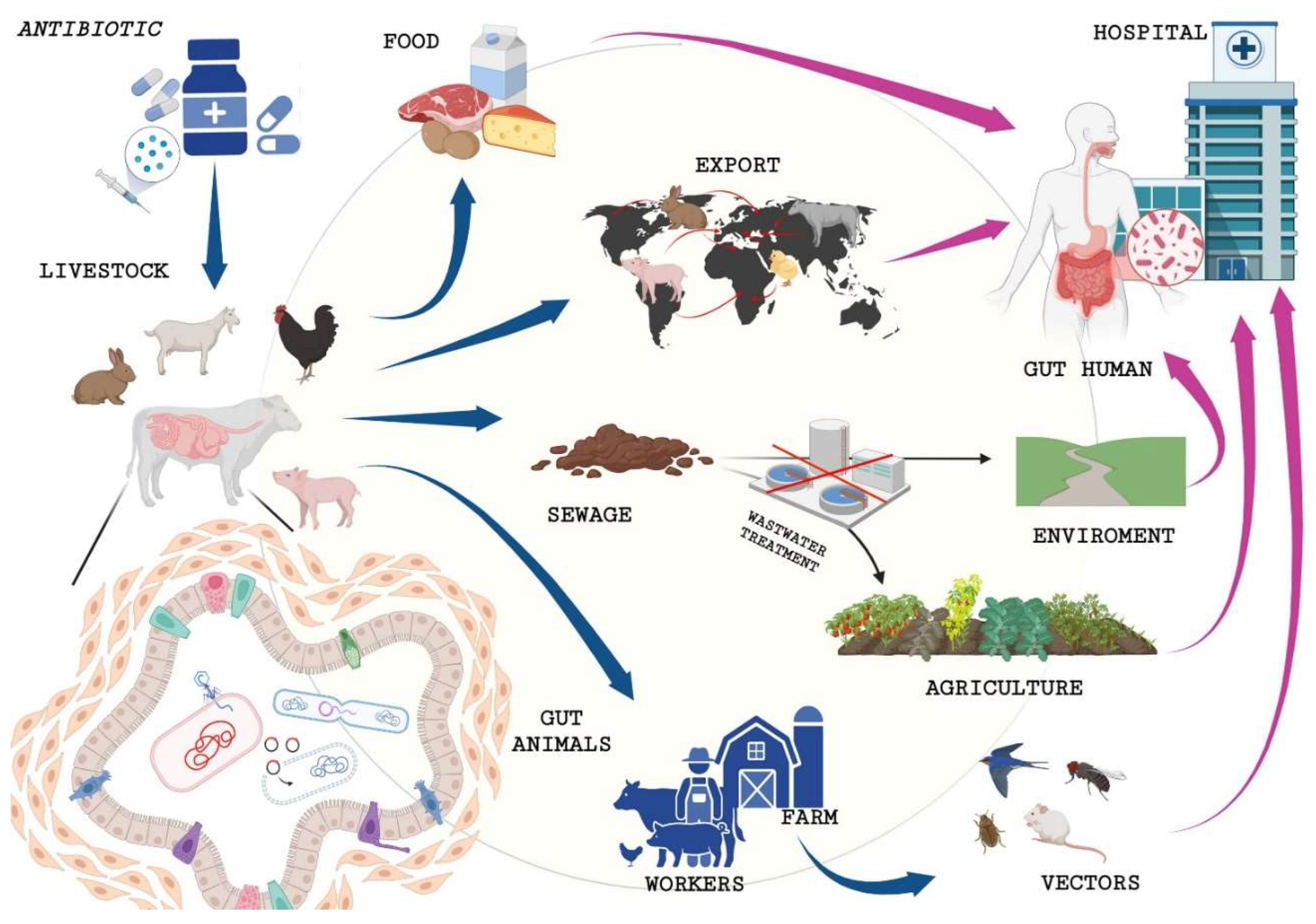Preprints 157421 g001