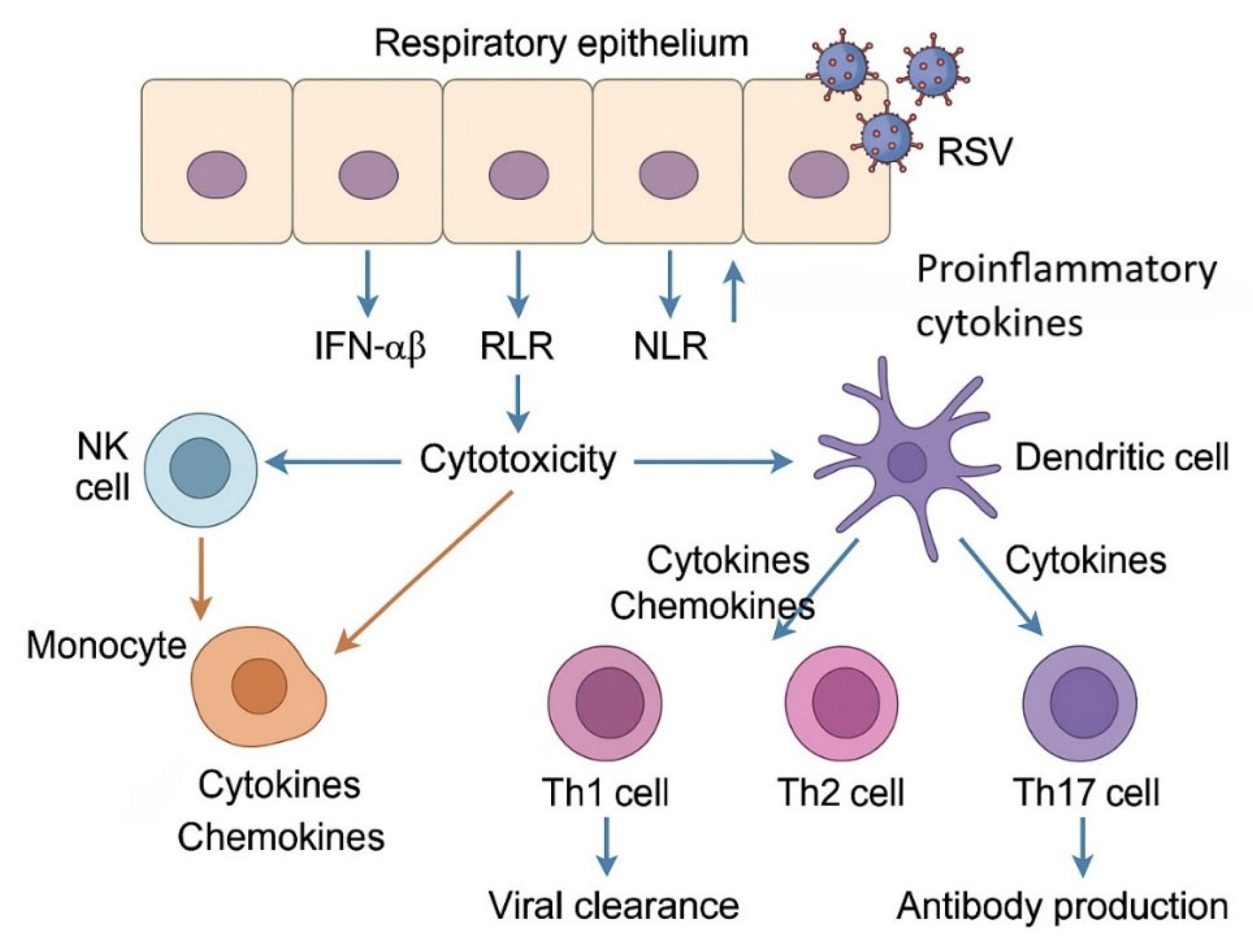 Preprints 164380 g001
