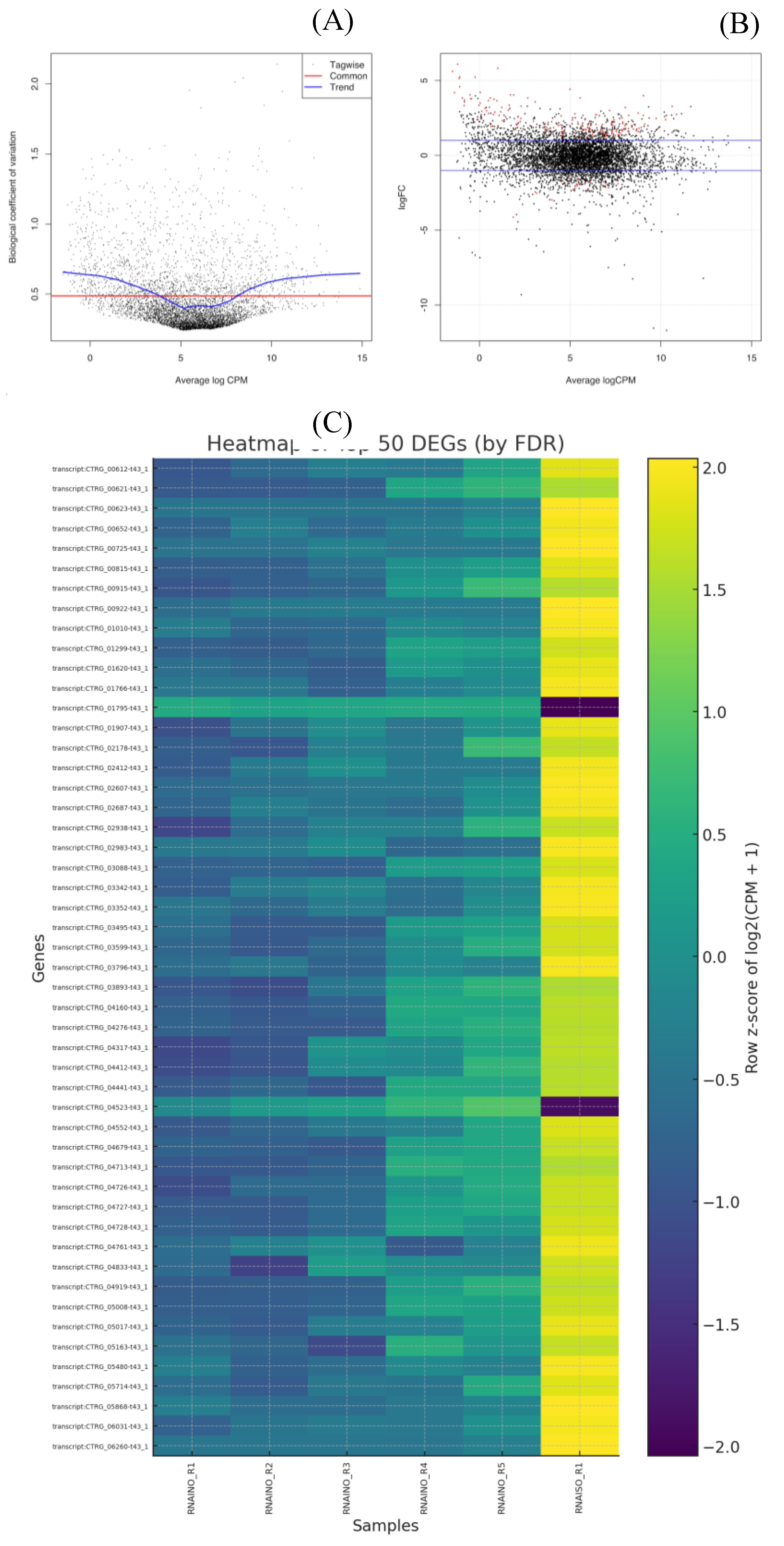 Preprints 186998 g005