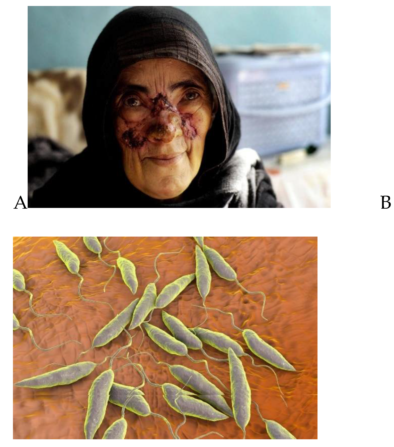 Preprints 152011 g001