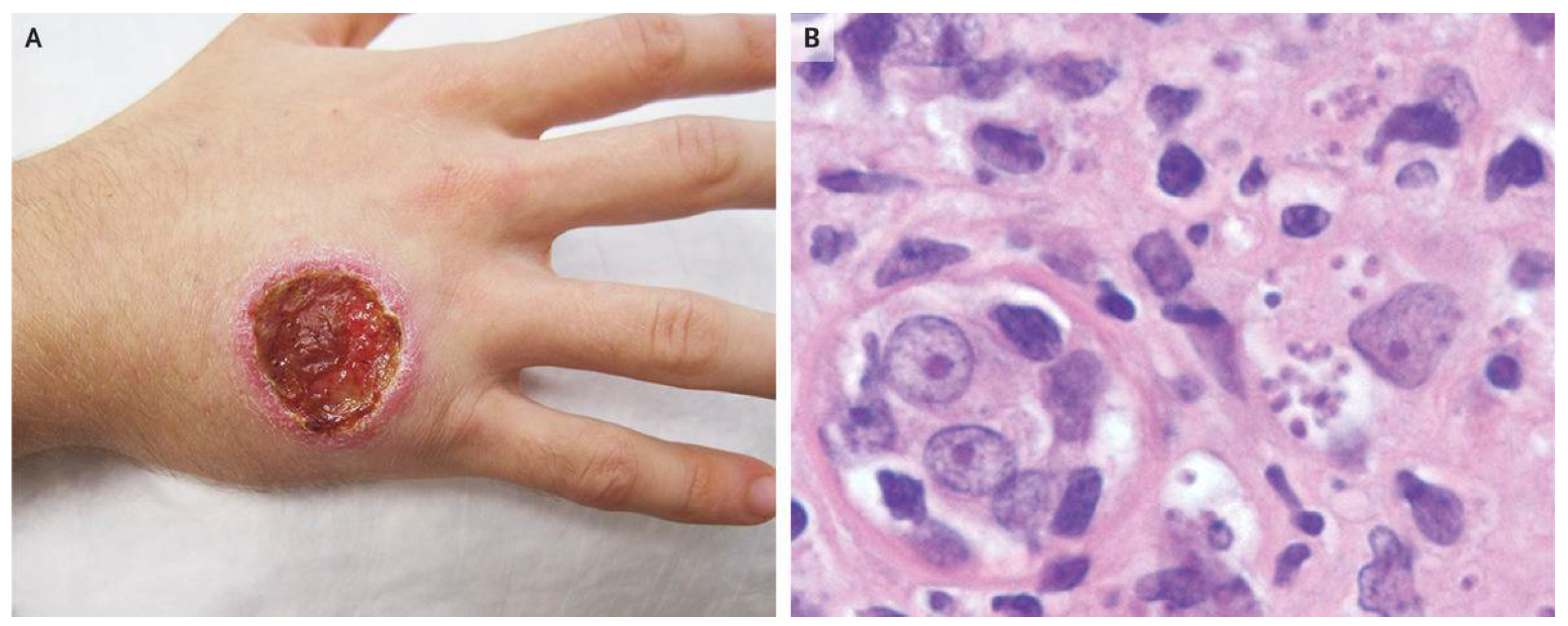 Preprints 152011 g002