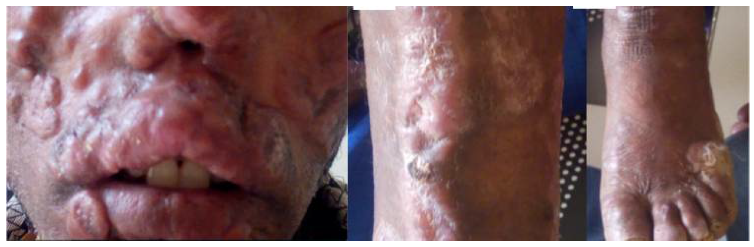 Preprints 152011 g003