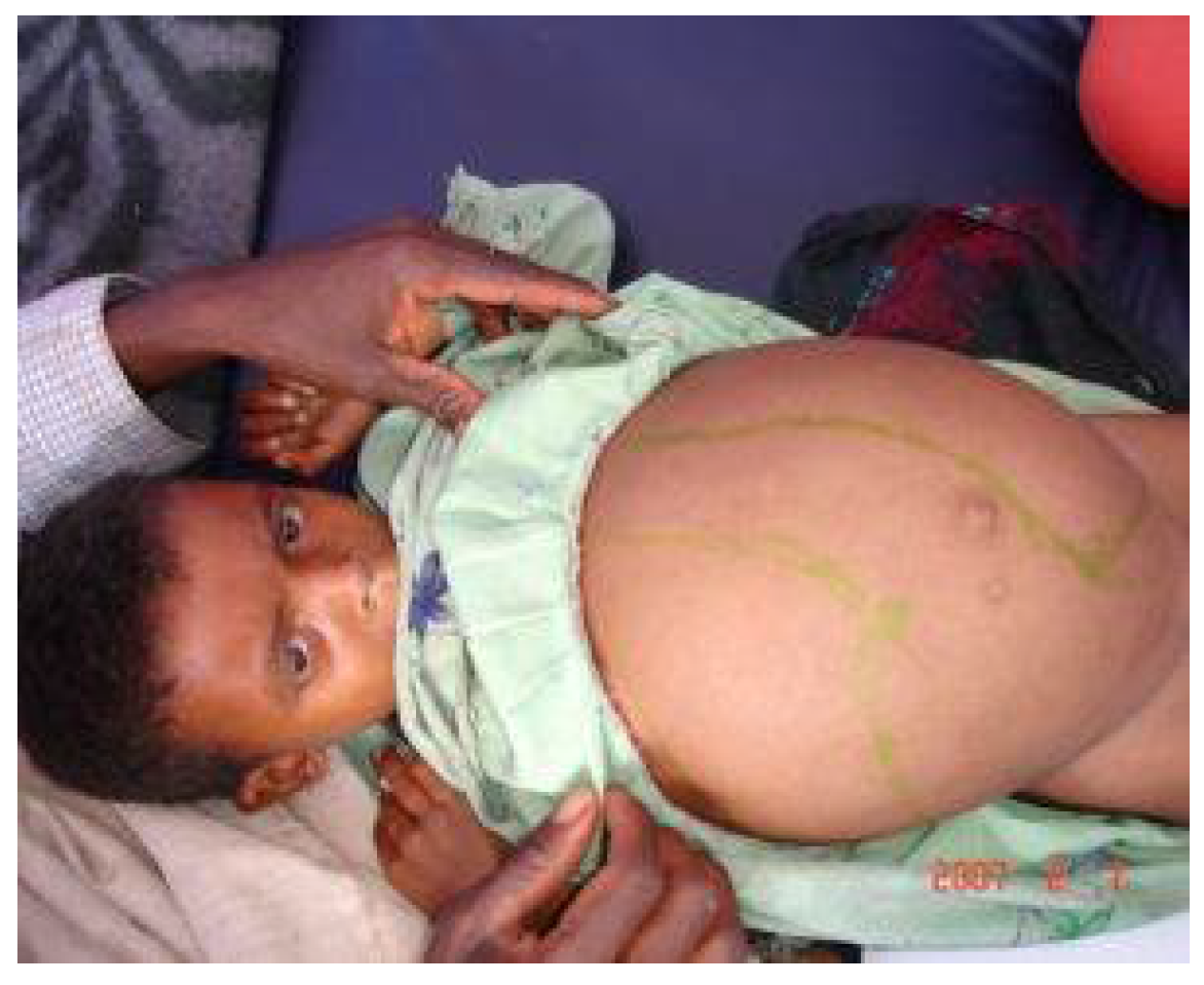 Preprints 152011 g004