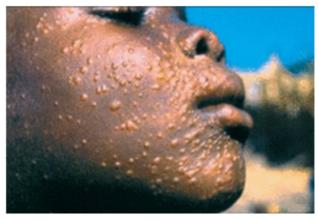 Preprints 152011 g005