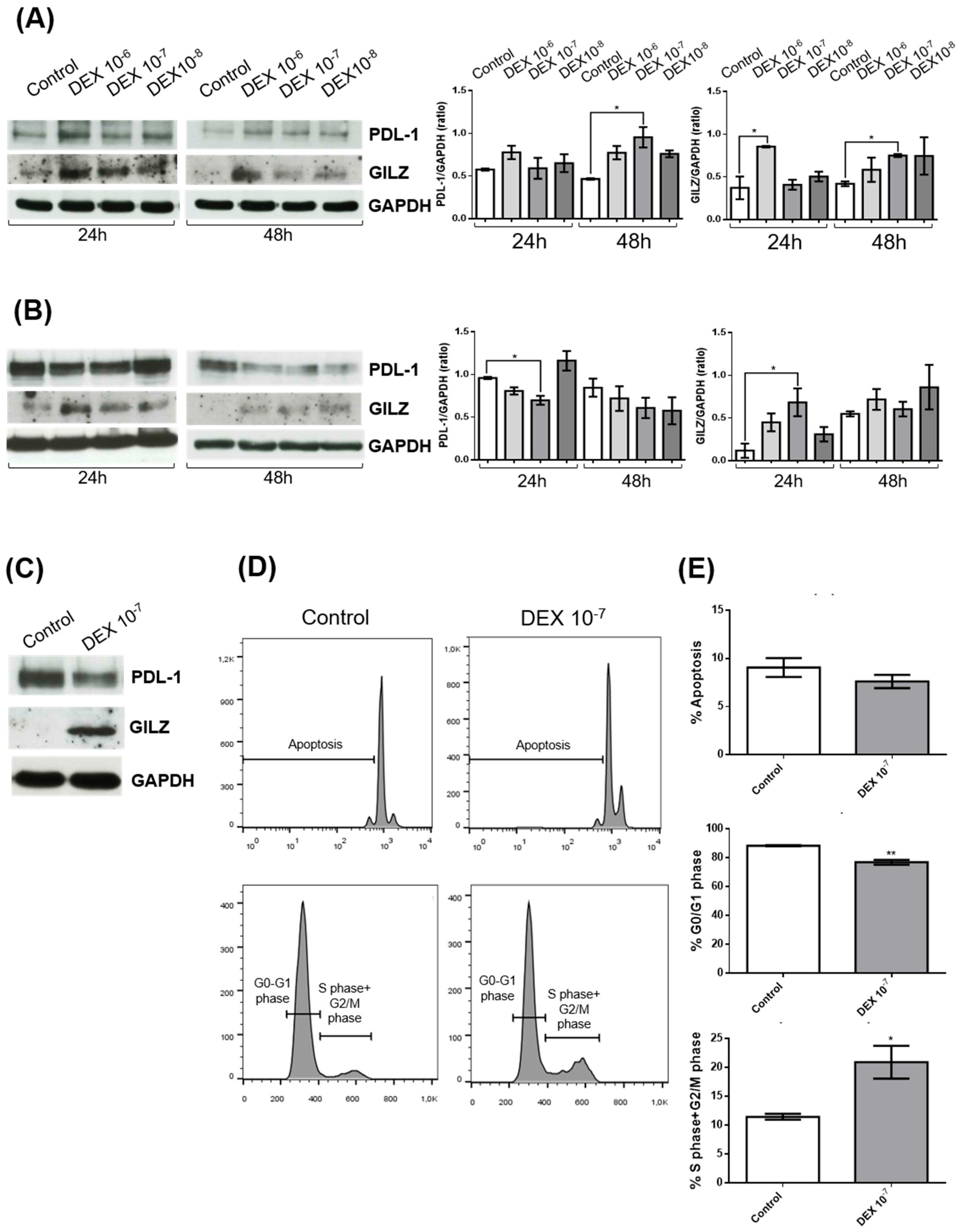 Preprints 165381 g001