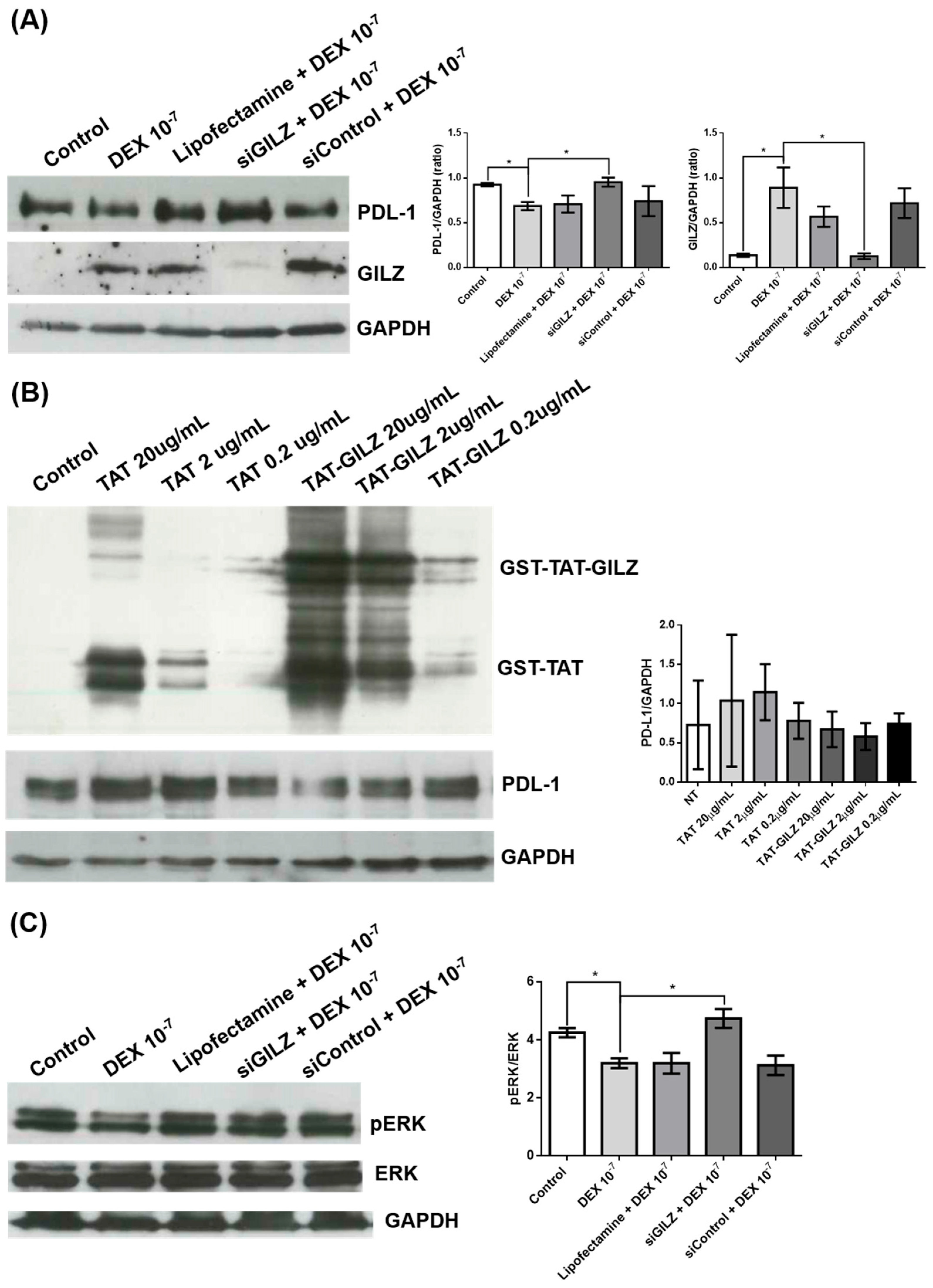 Preprints 165381 g002