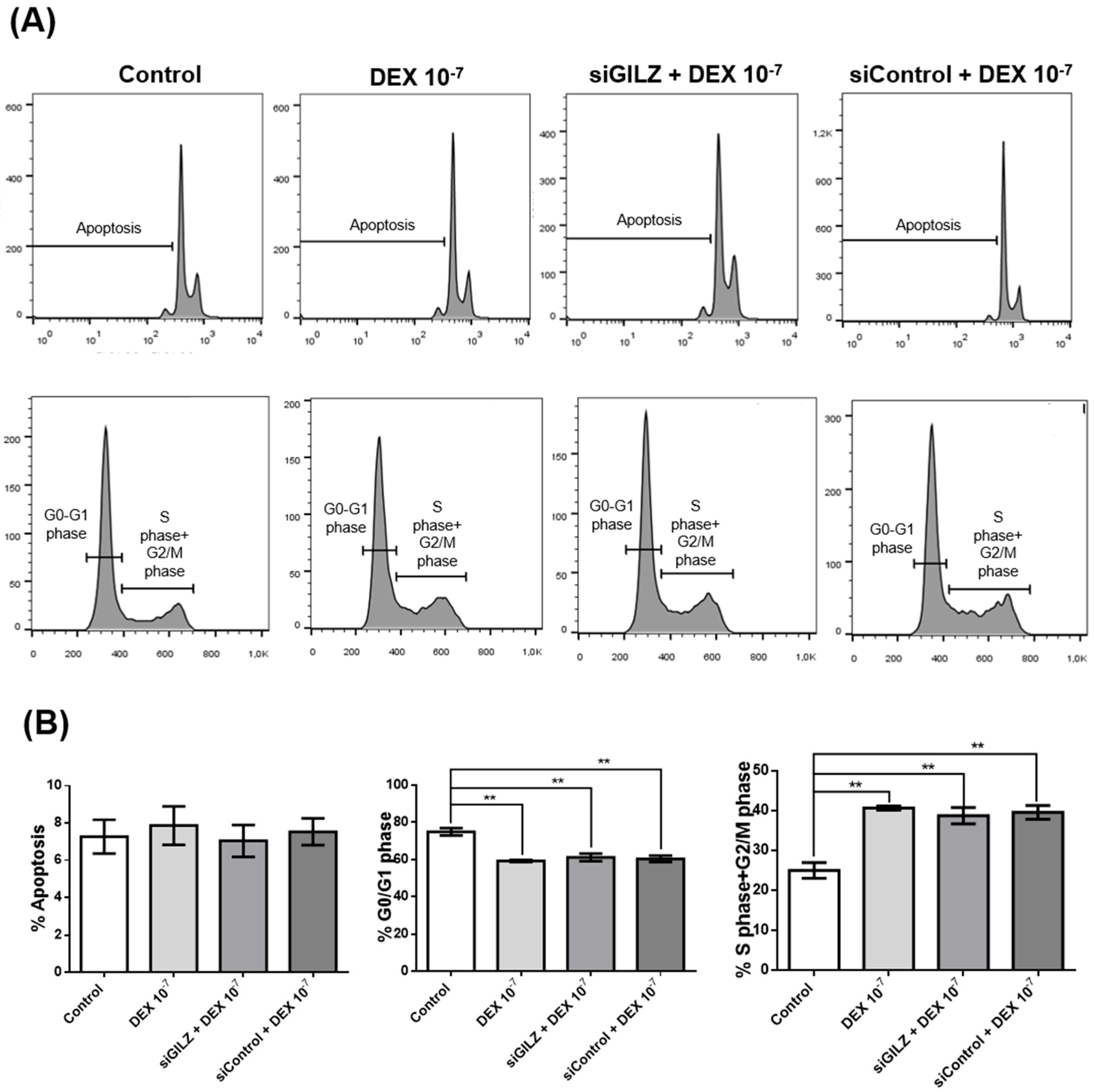Preprints 165381 g003