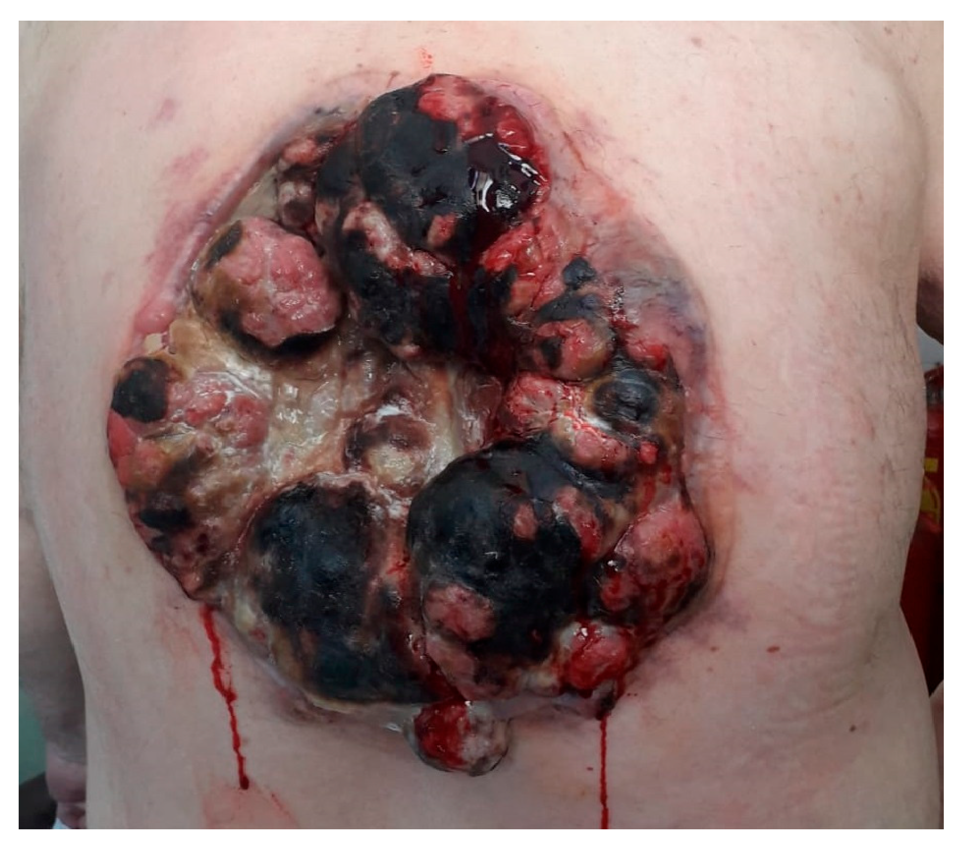 Preprints 163318 g001