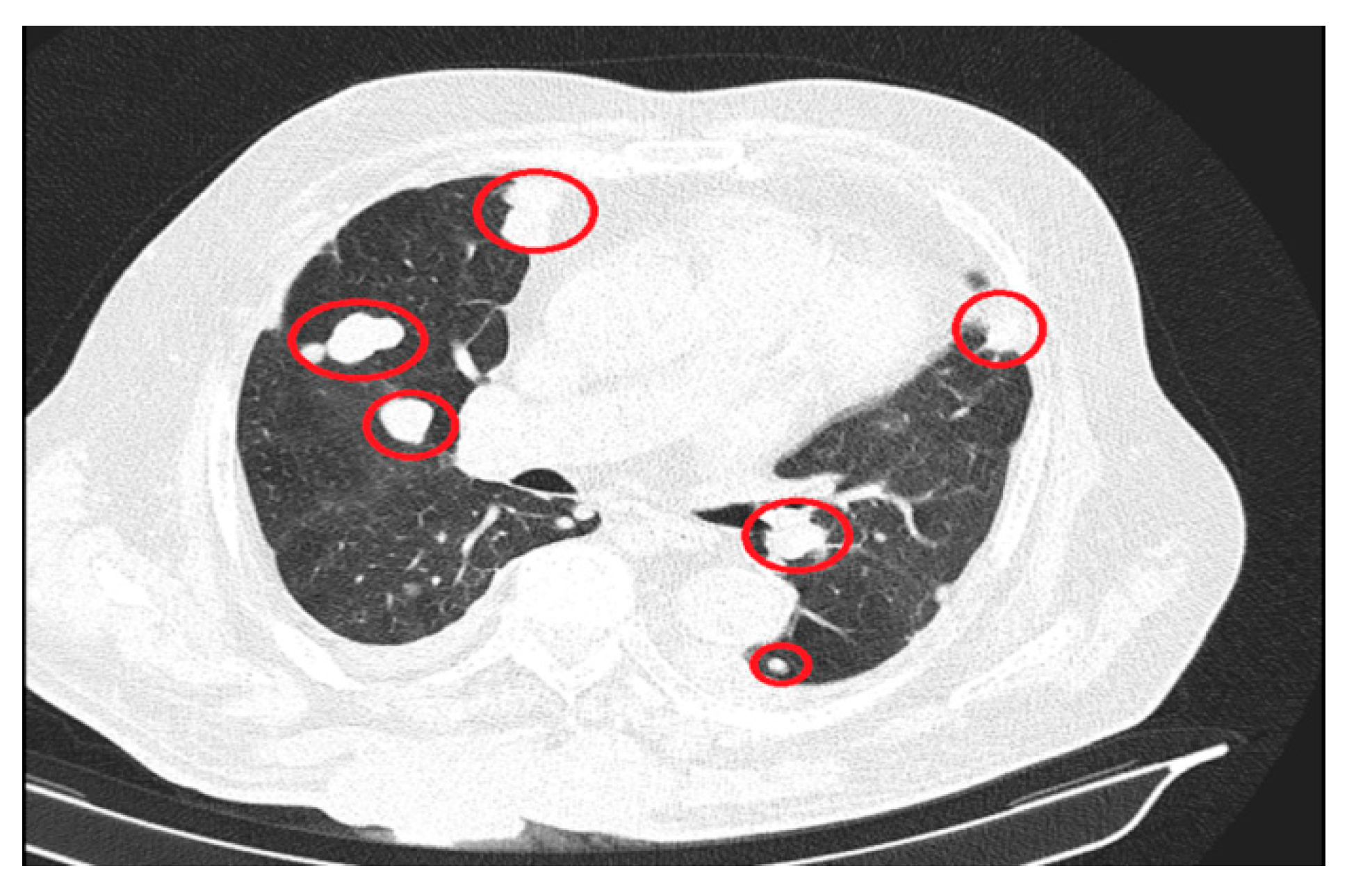 Preprints 163318 g003