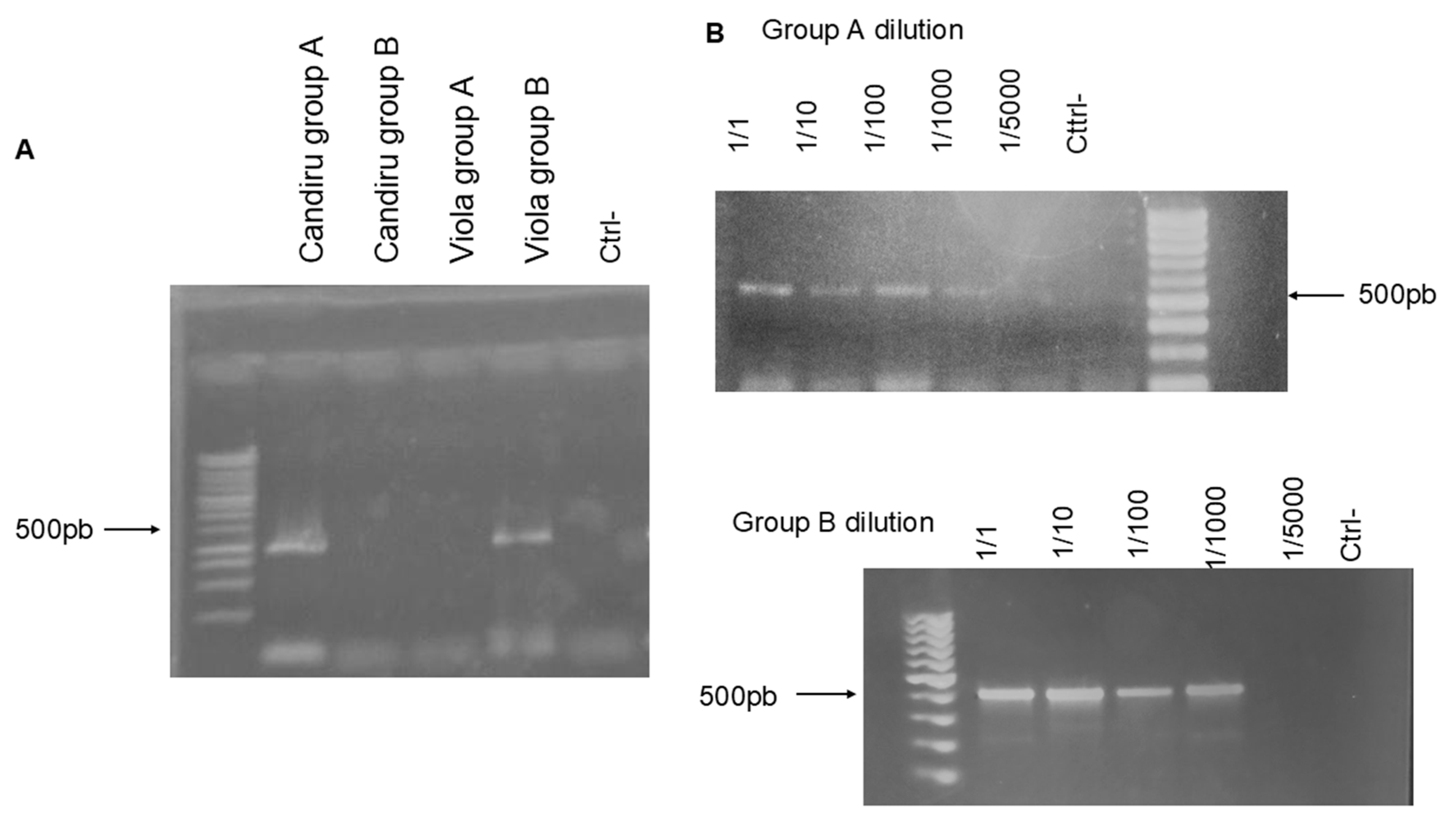 Preprints 176175 g002