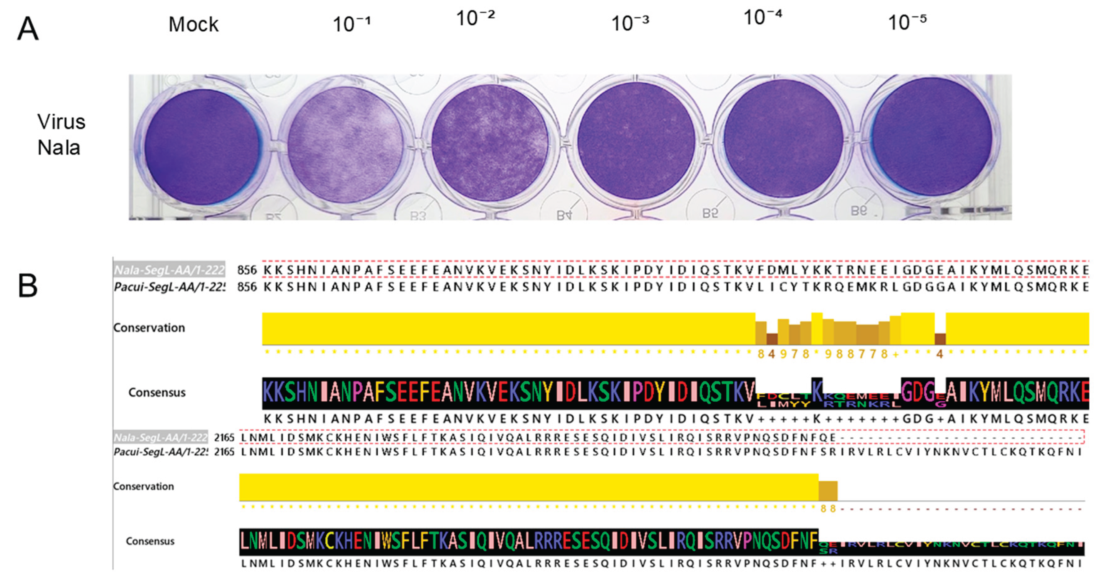 Preprints 176175 g005