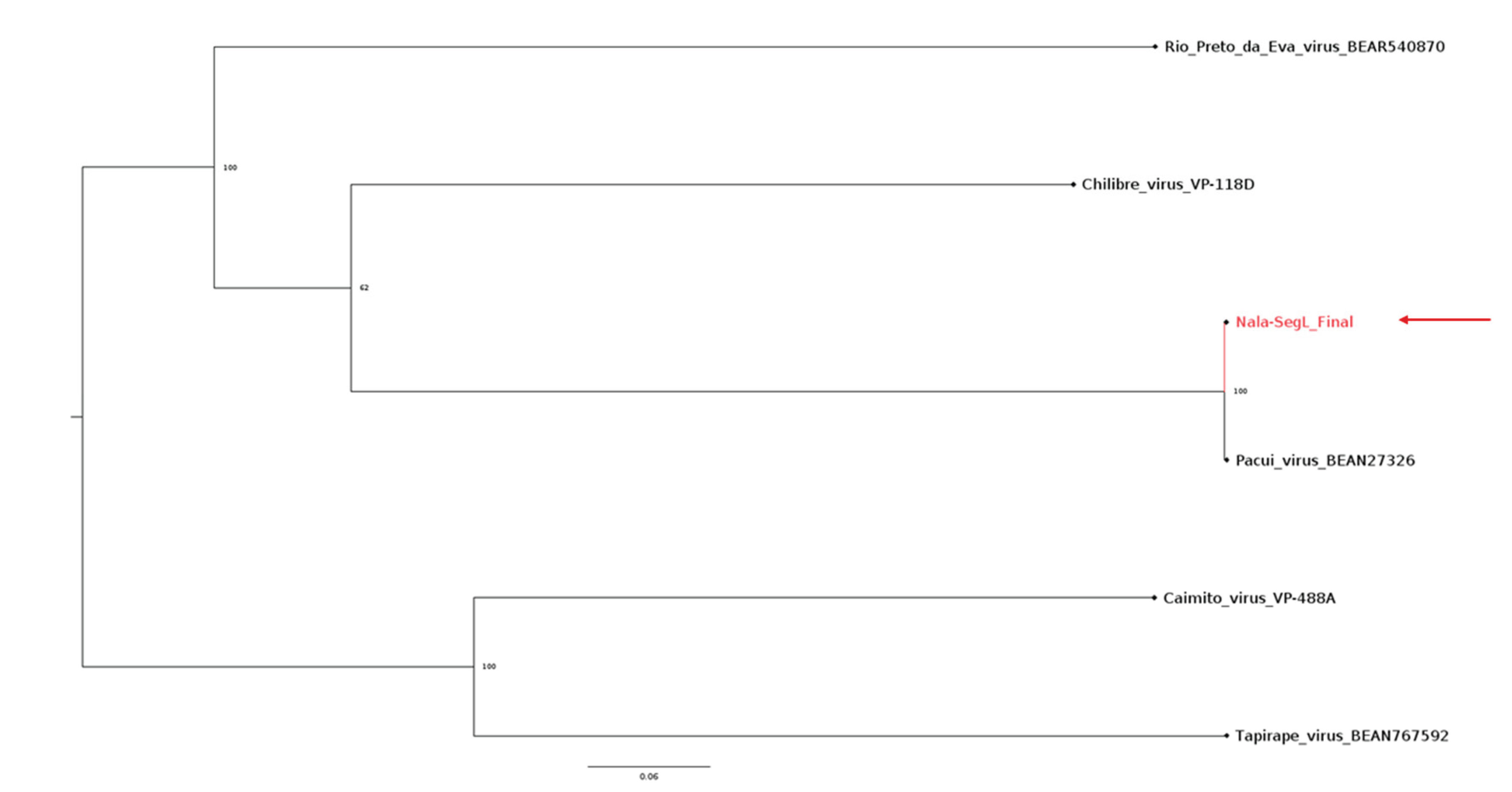 Preprints 176175 g006