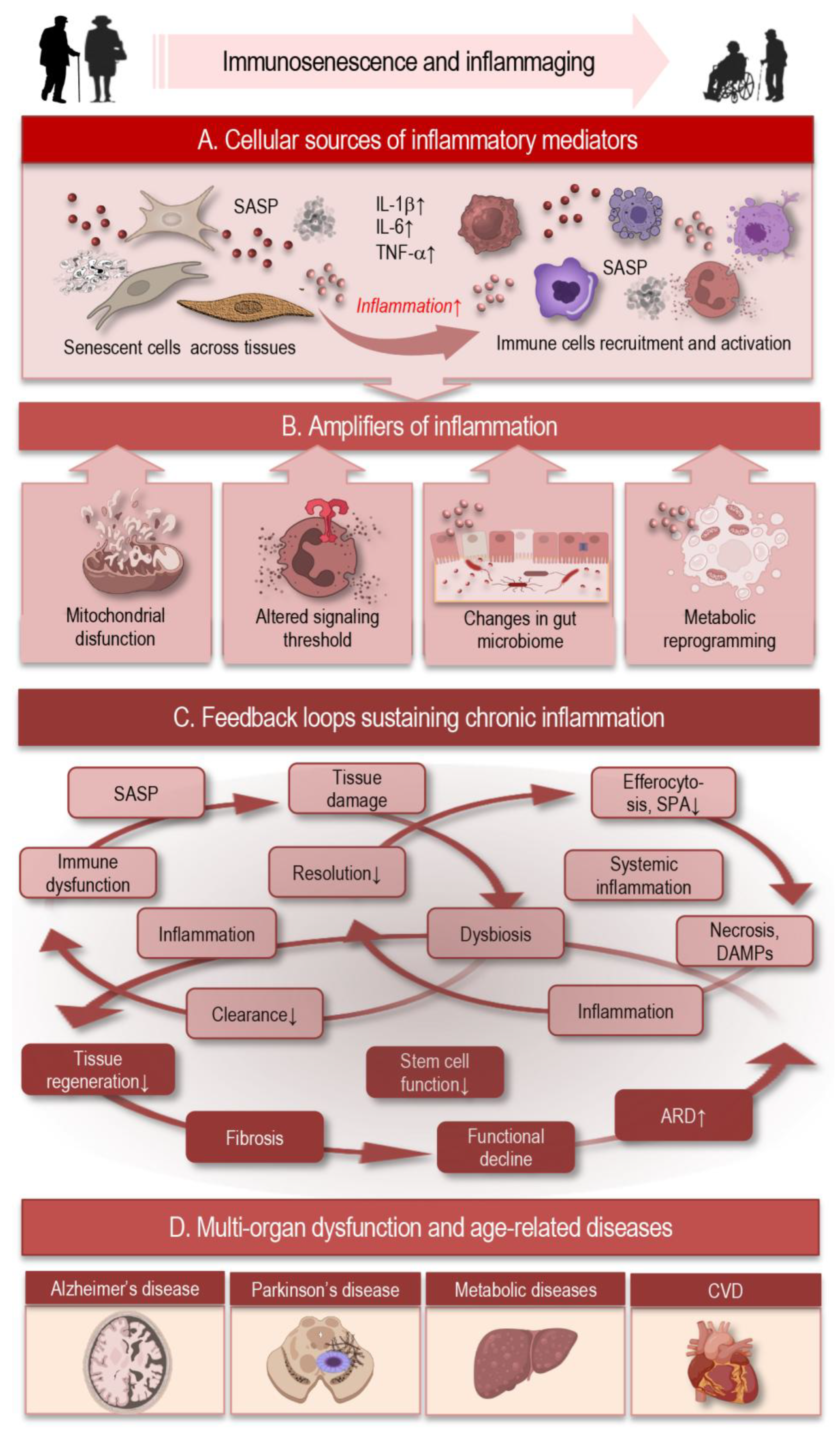 Preprints 195974 g002