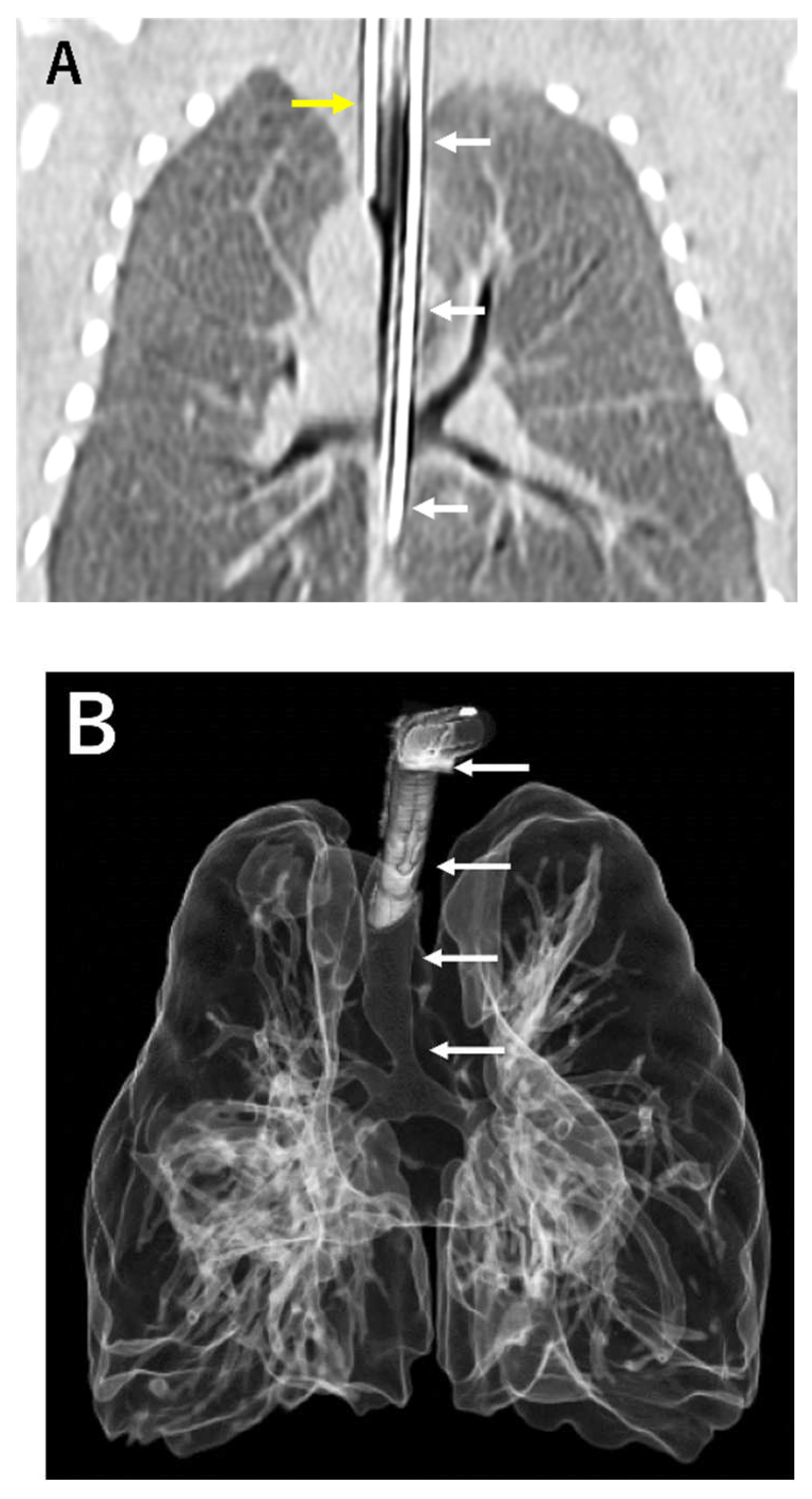 Preprints 89982 g001a