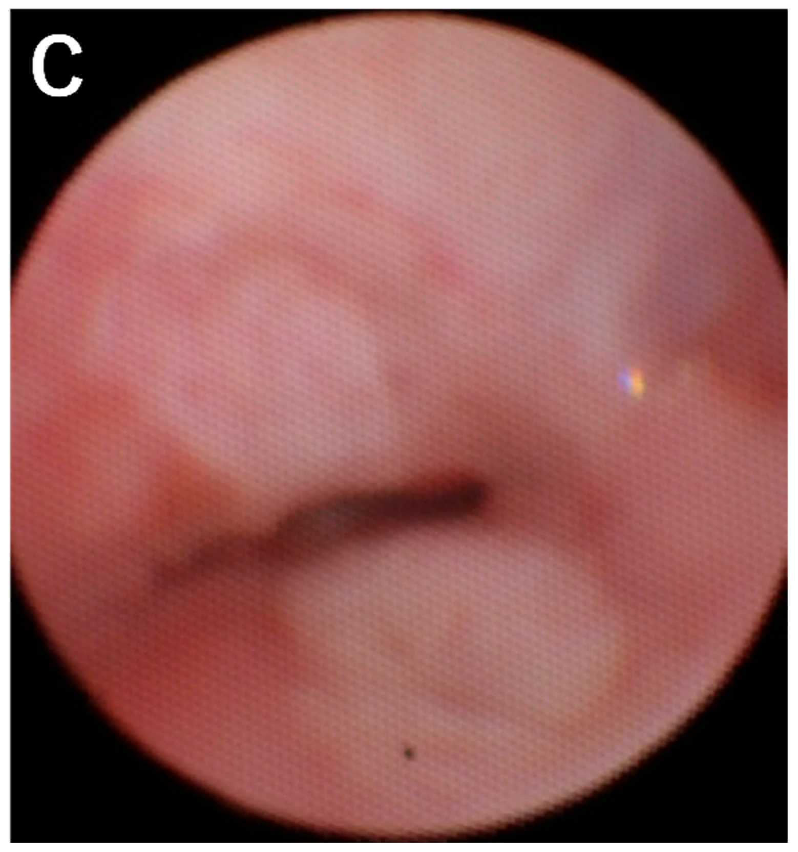 Preprints 89982 g001b