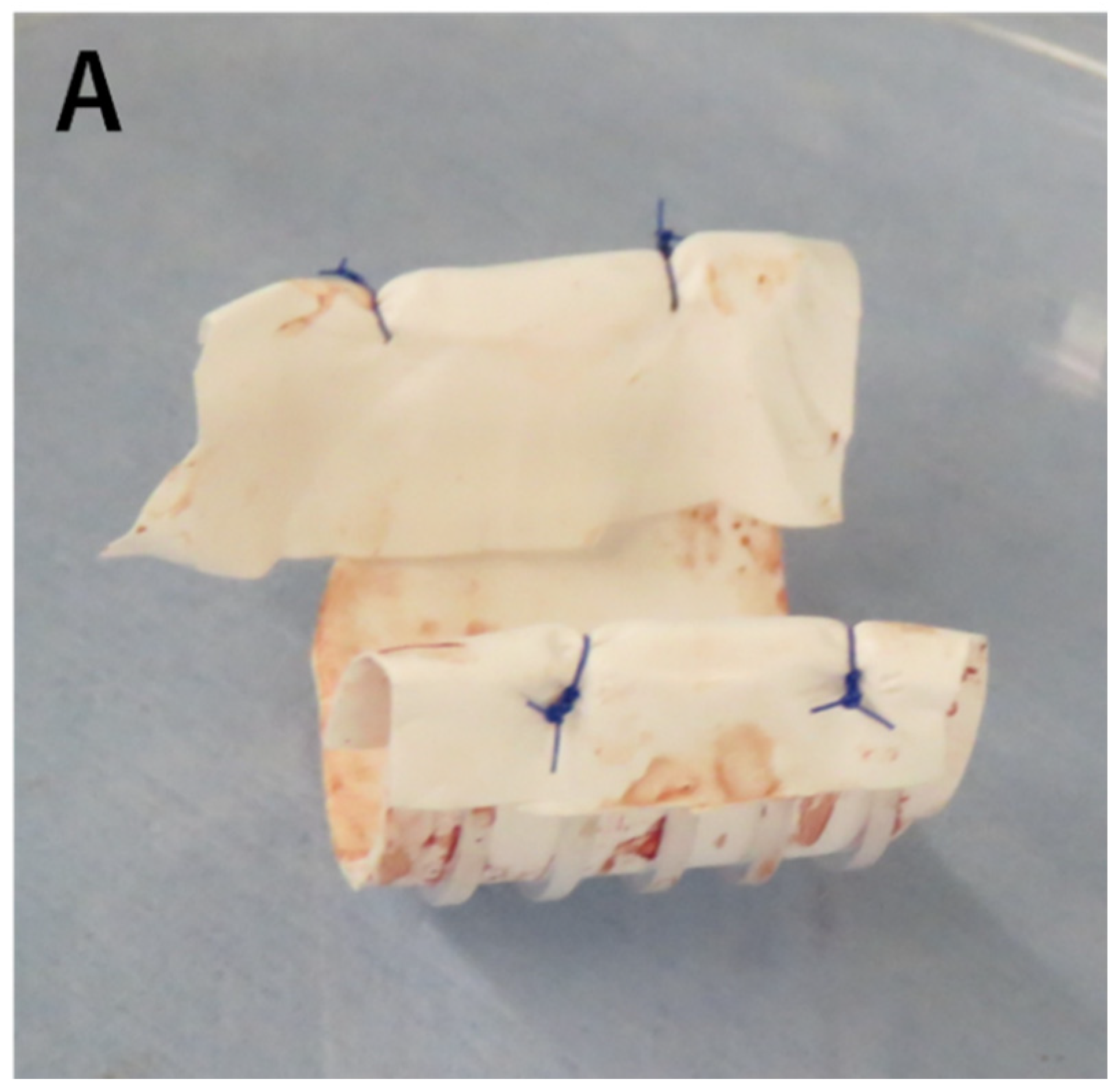 Preprints 89982 g002a