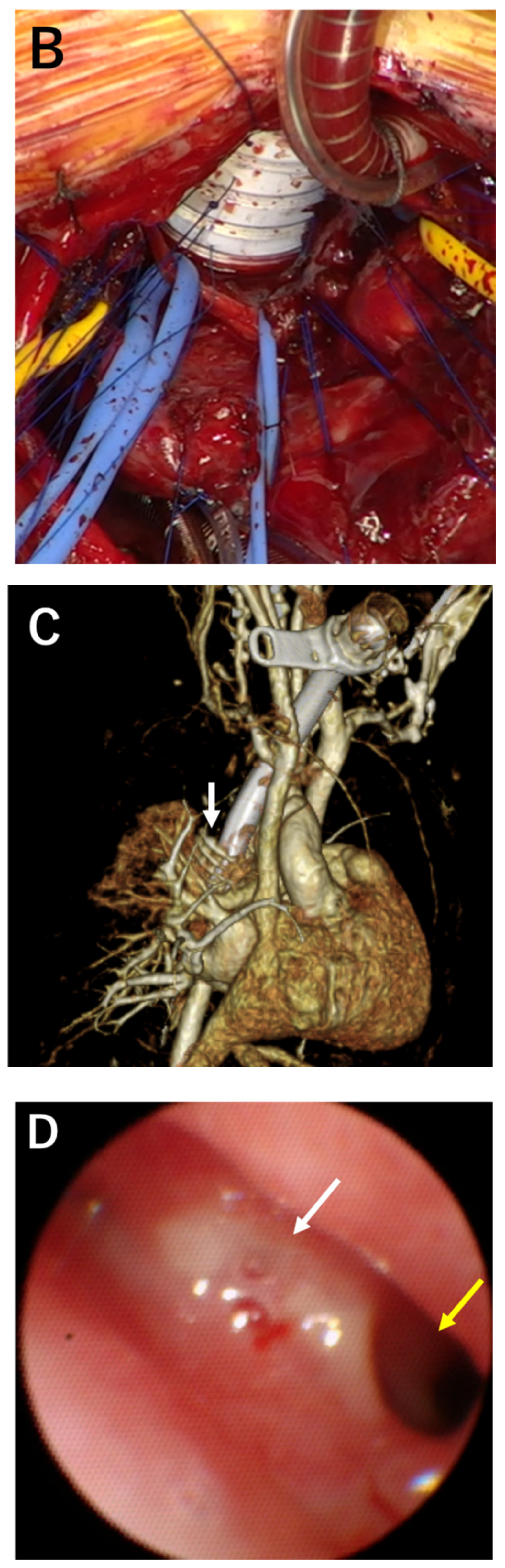 Preprints 89982 g002b