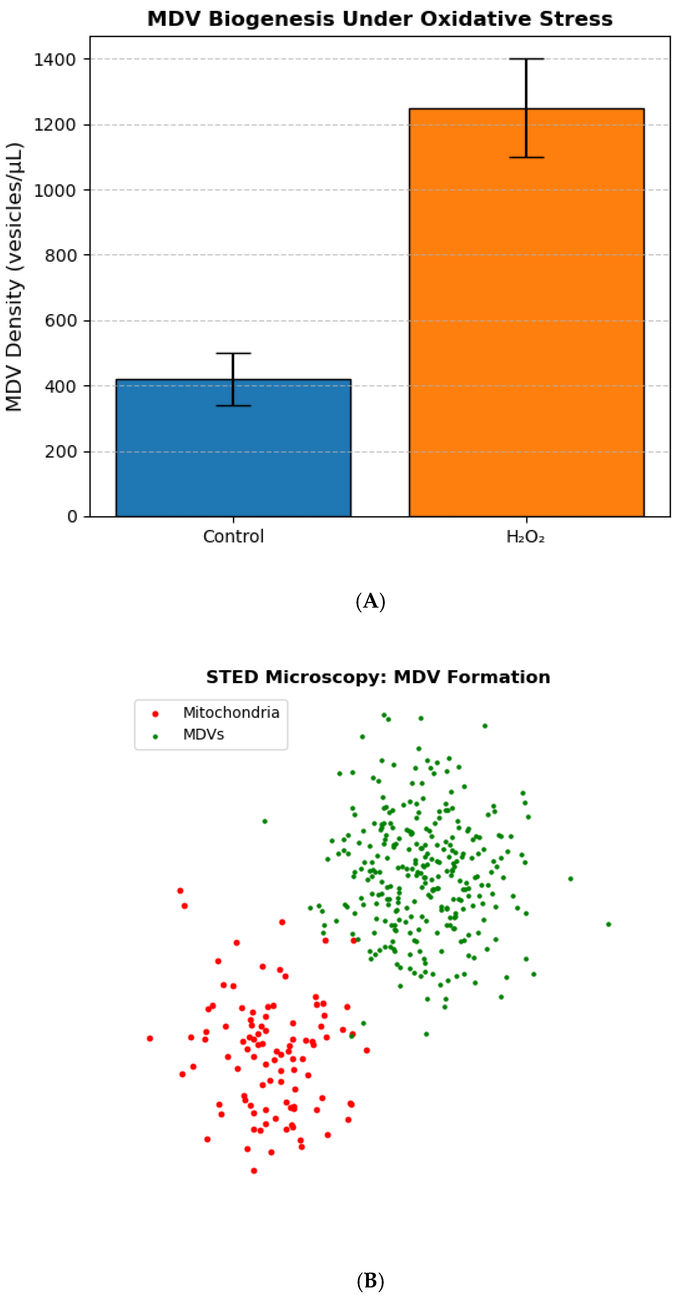 Preprints 148176 g001