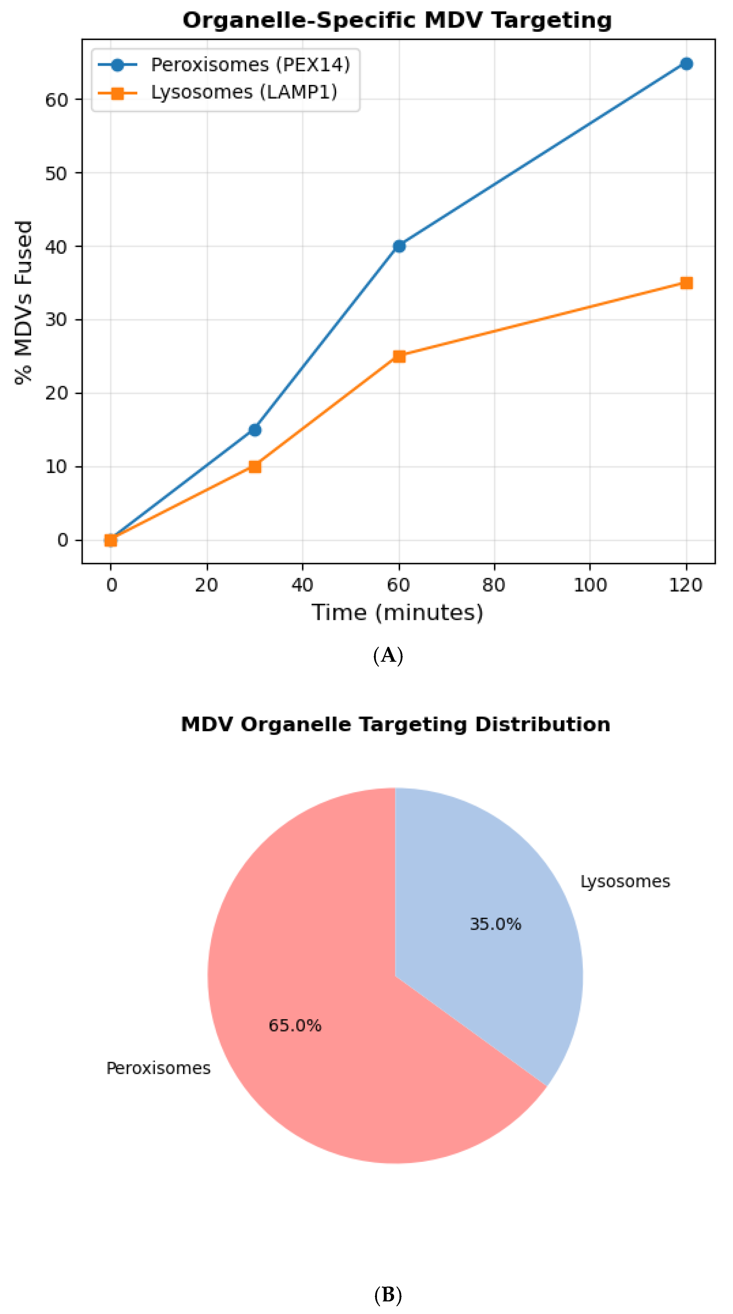 Preprints 148176 g004