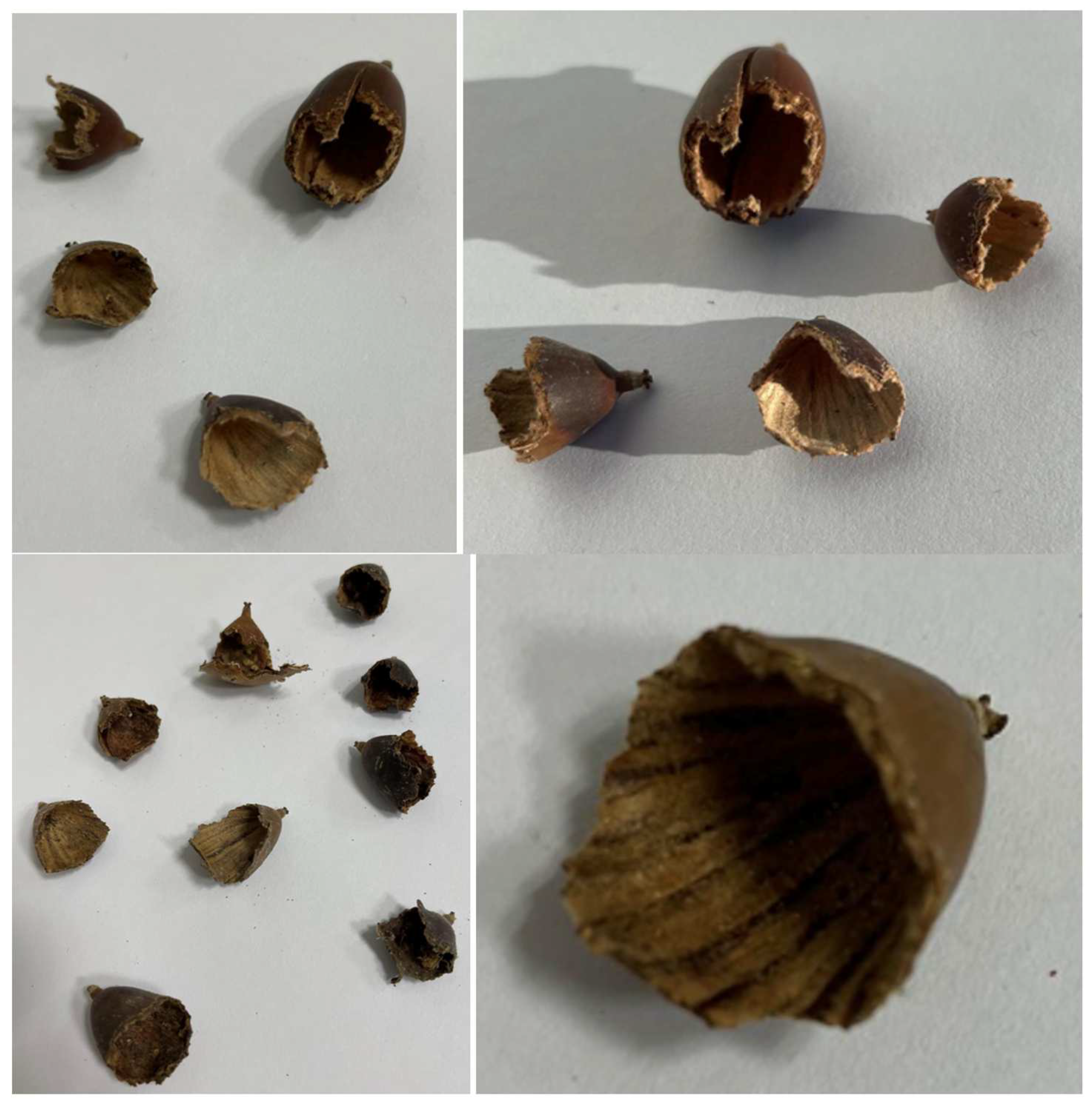 Preprints 157089 g003