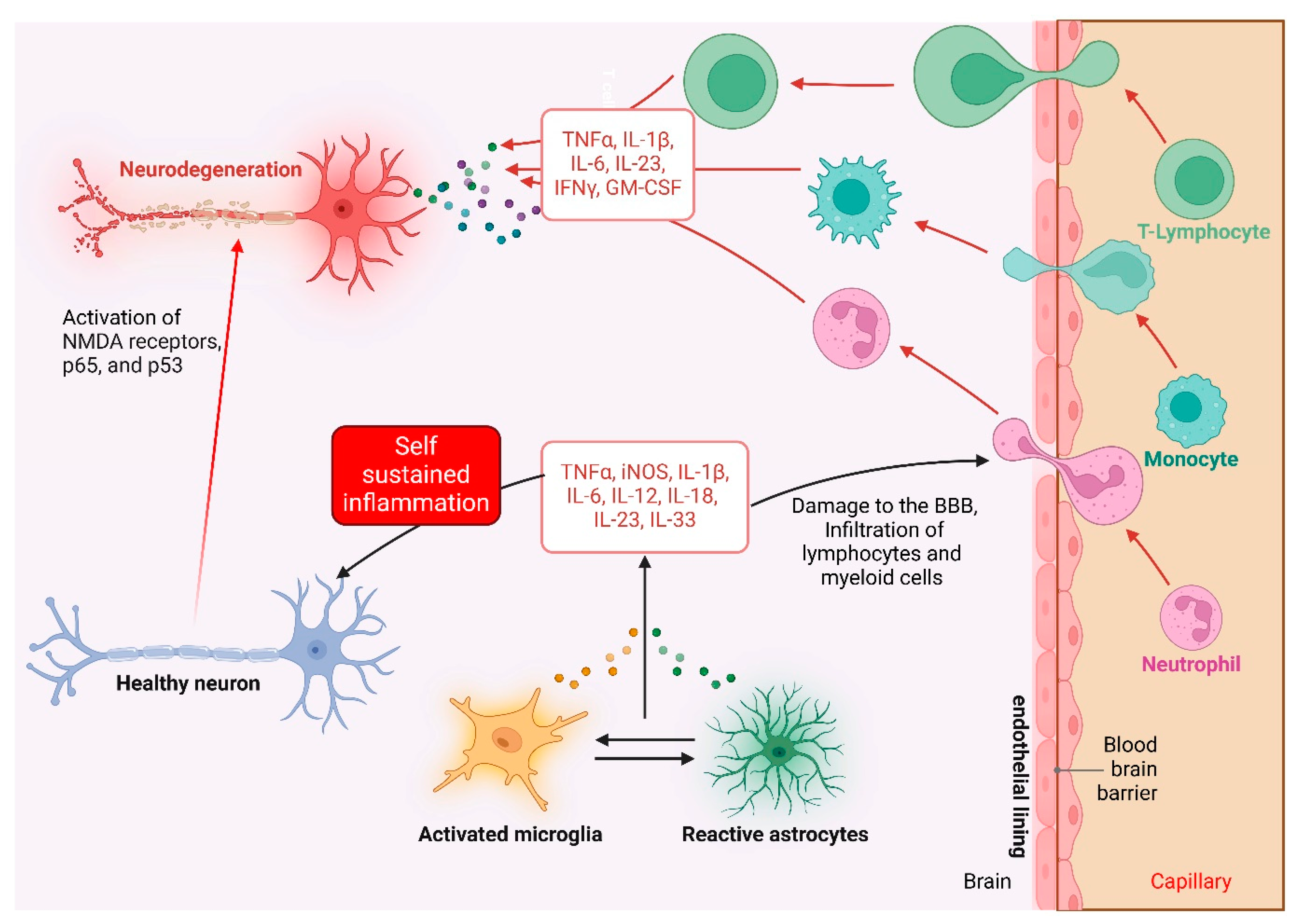Preprints 140587 g001