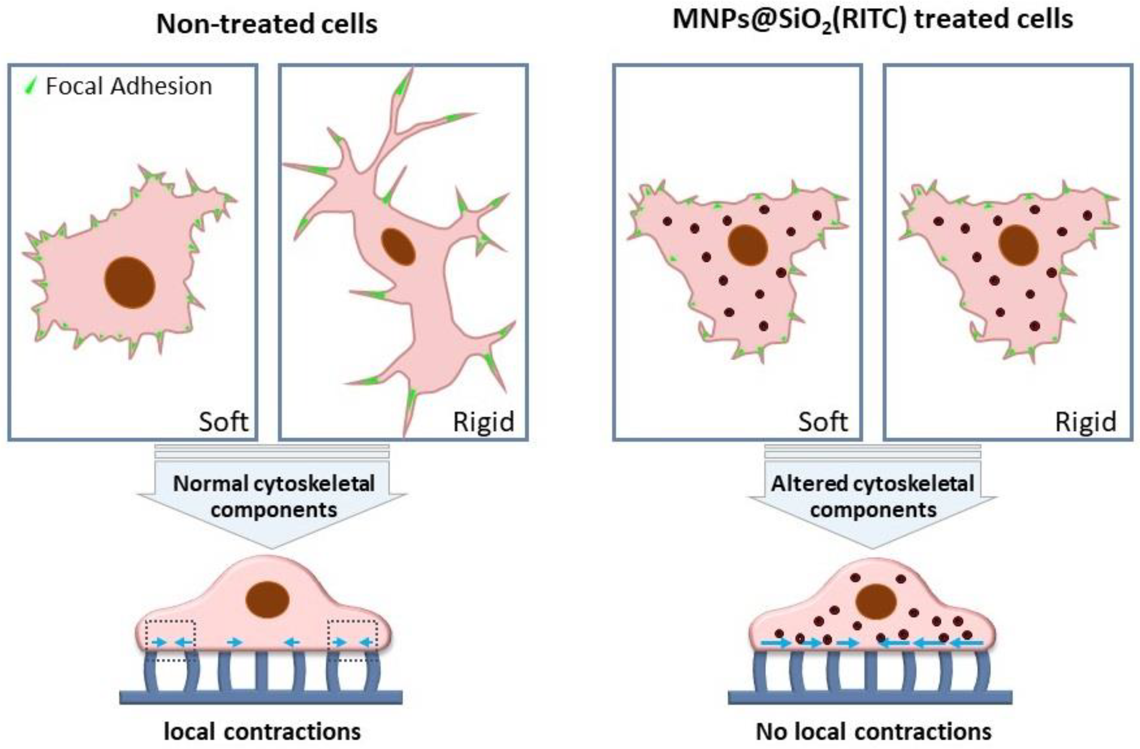 Preprints 73572 g004
