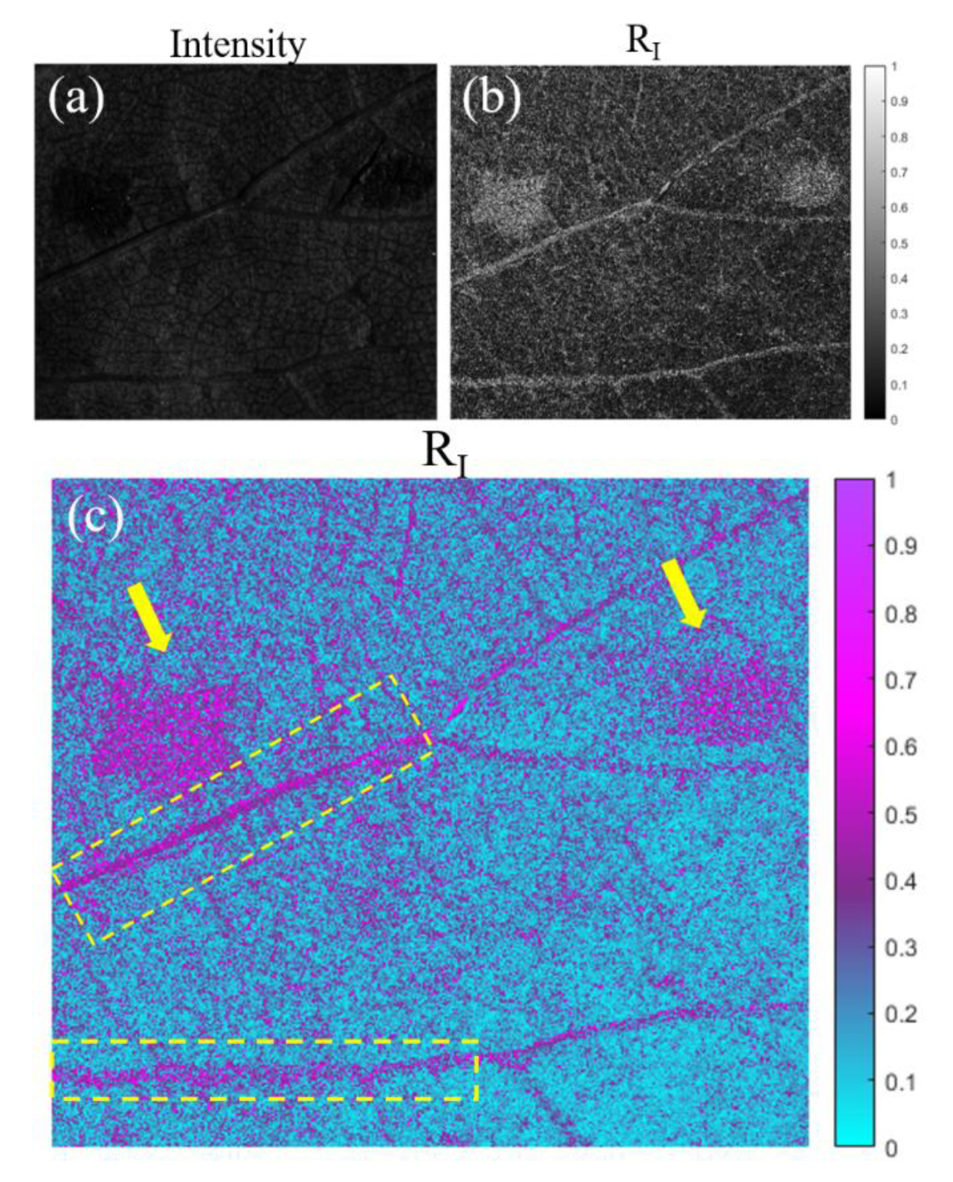 Preprints 72613 g004