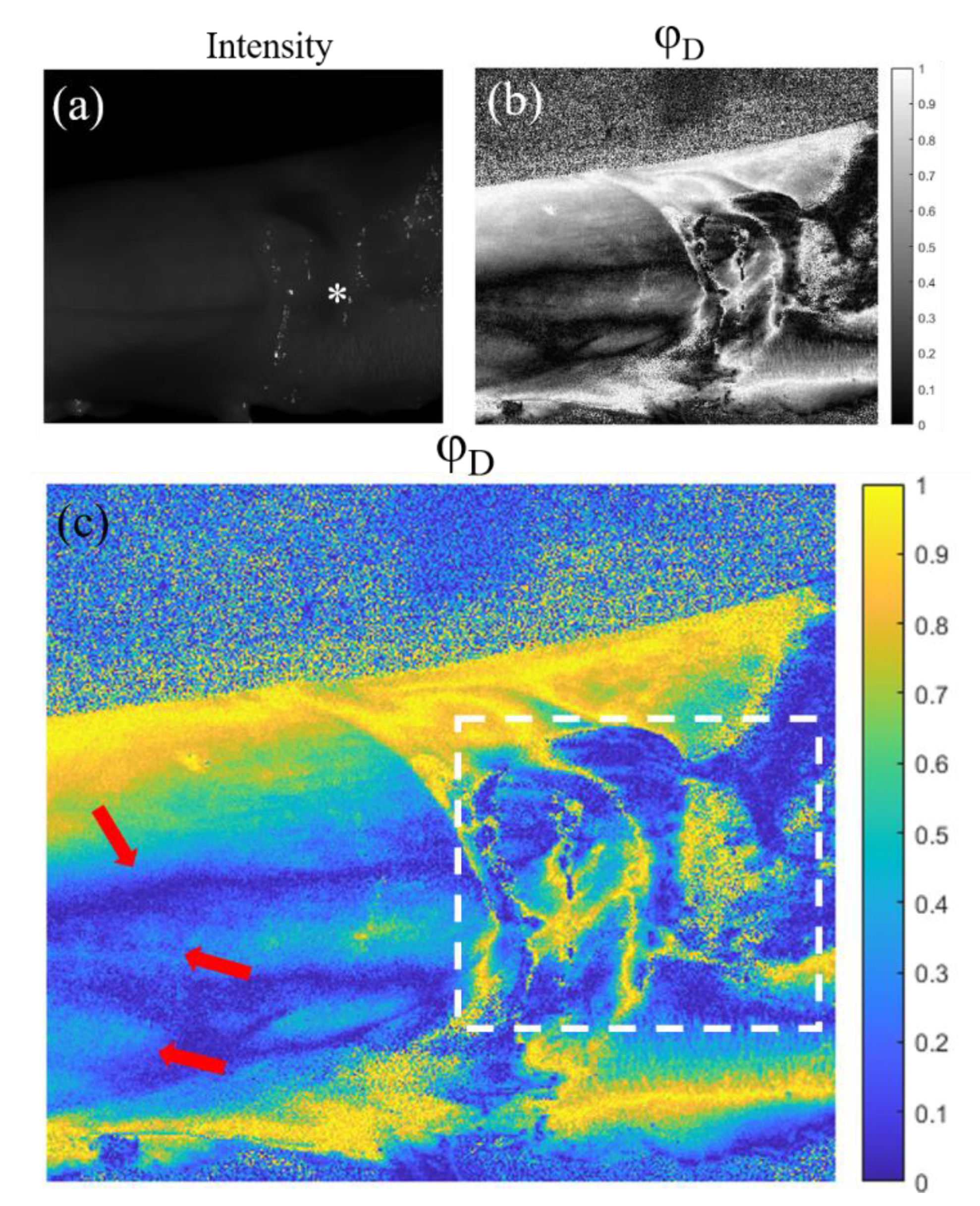 Preprints 72613 g005