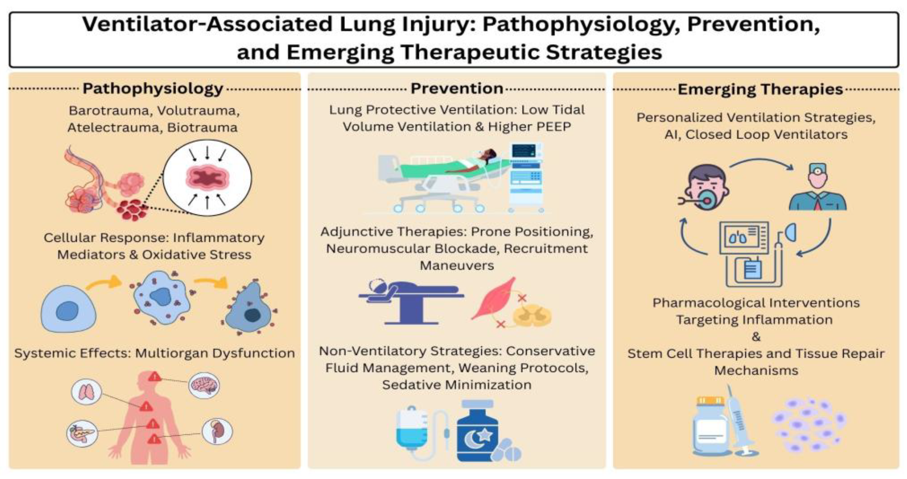 Preprints 177362 g001