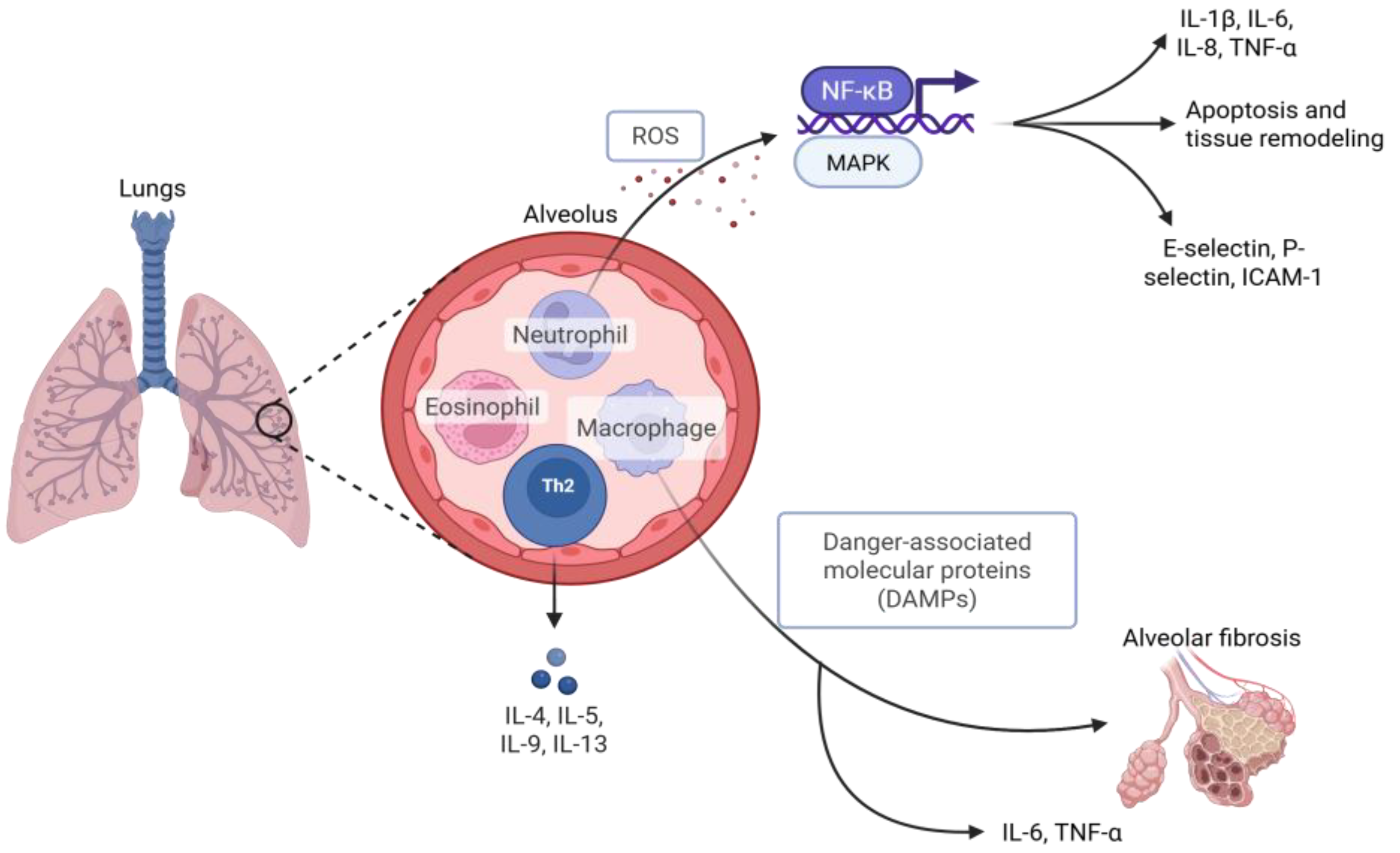 Preprints 177362 g002